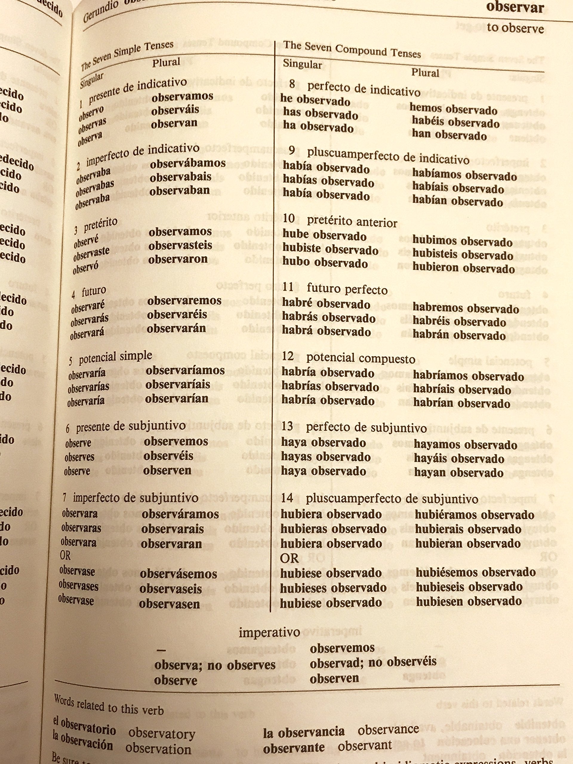 501 Spanish Verbs