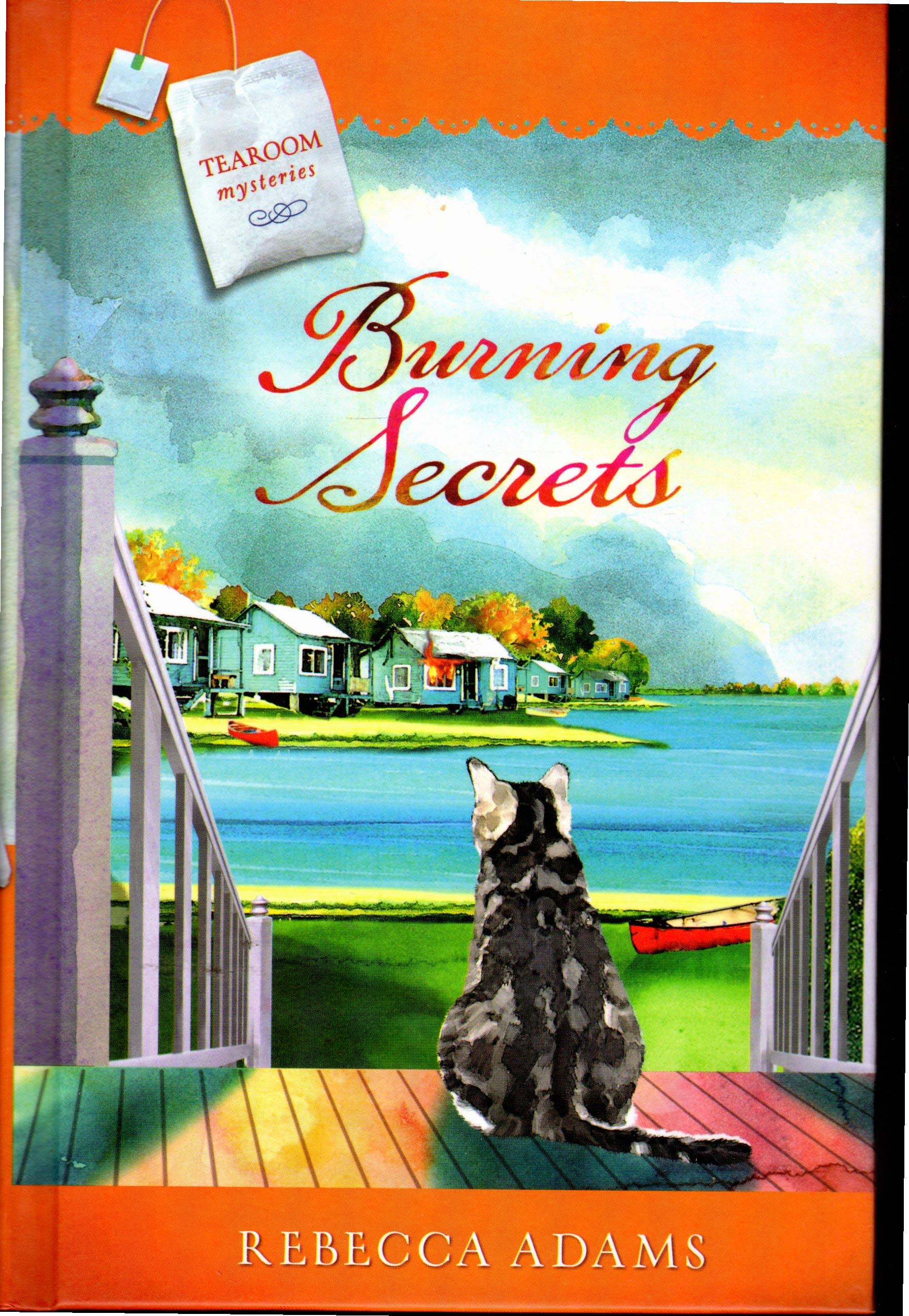 Burning Secrets used book depot