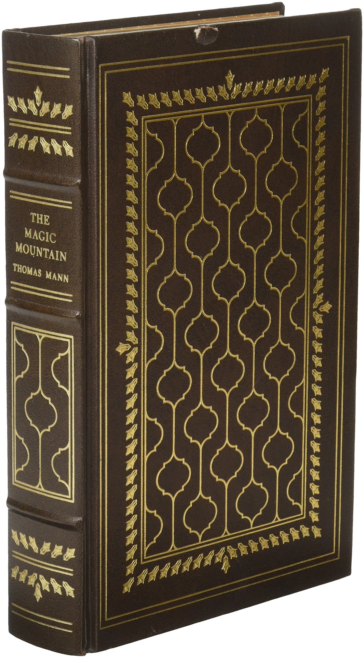 The Magic Mountain by Thomas Mann (1981-07-31) used book depot