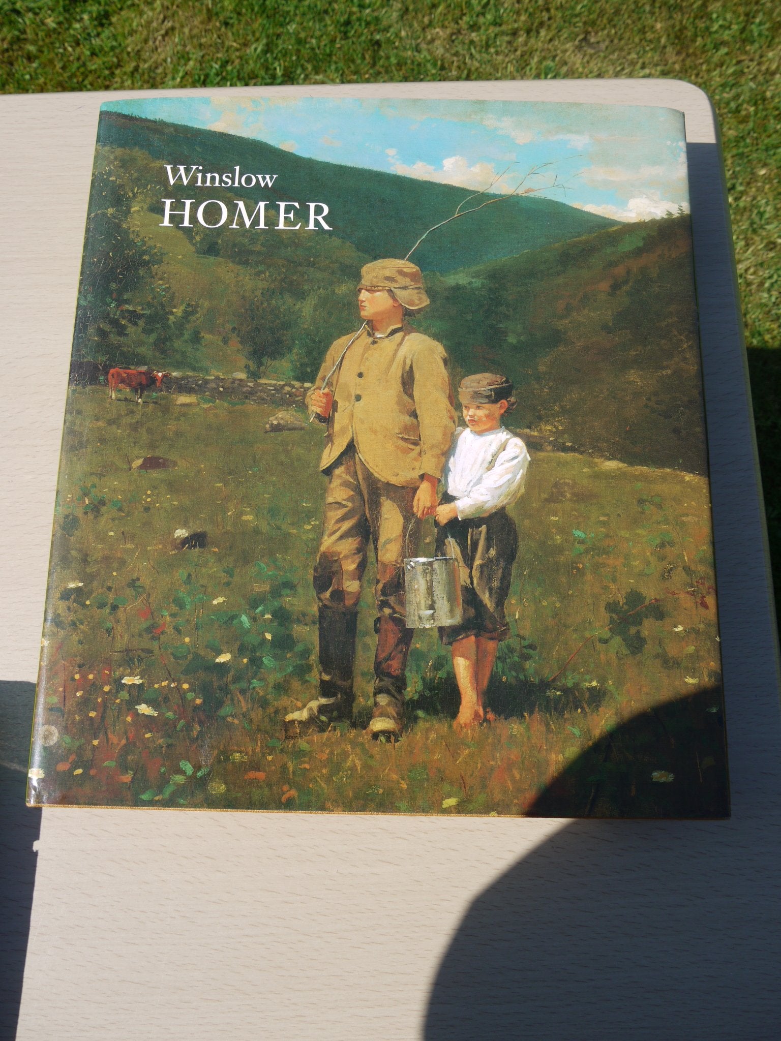 Winslow Homer used book depot