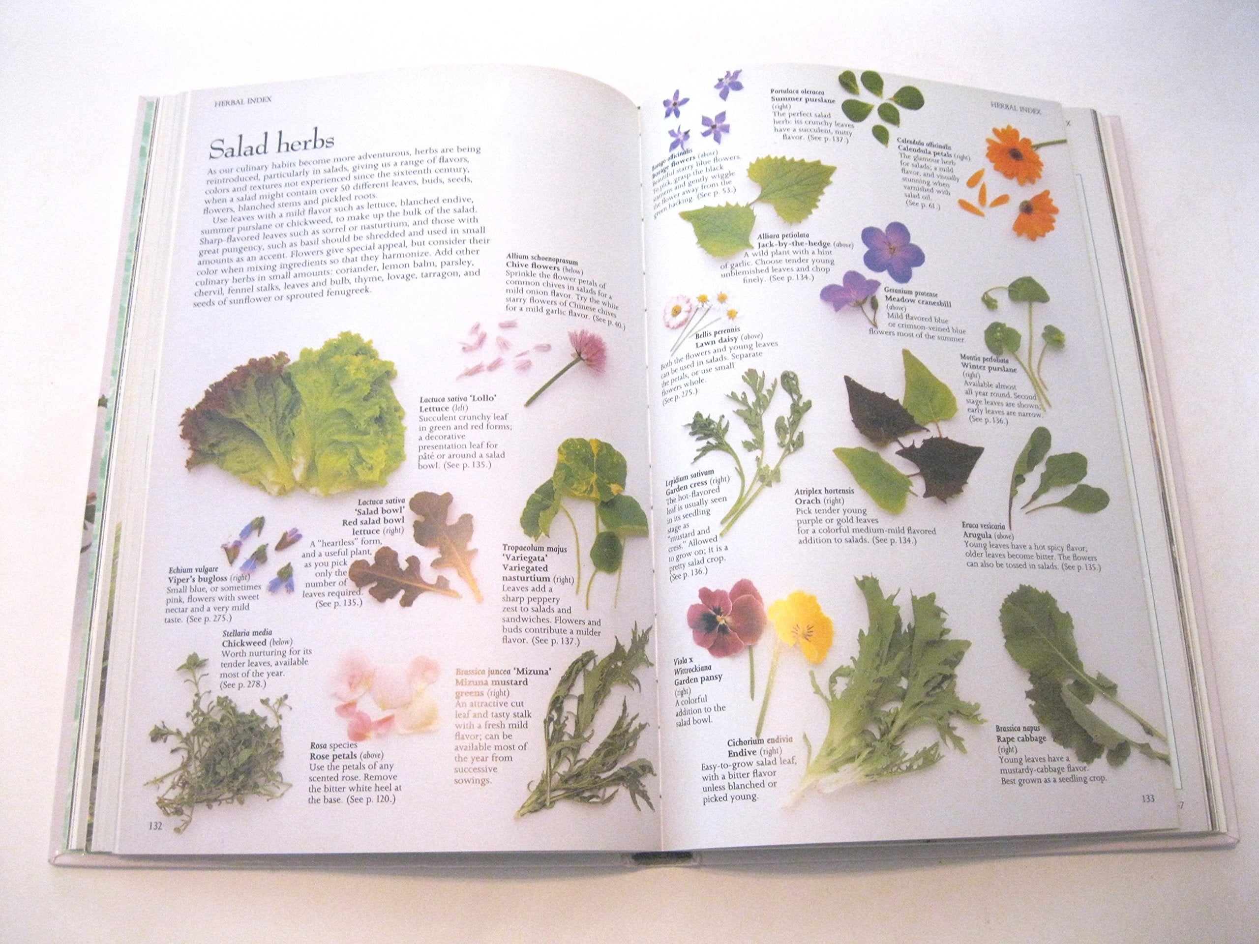The Complete Book of Herbs: A Practical Guide to Growing and Using Herbs used book depot