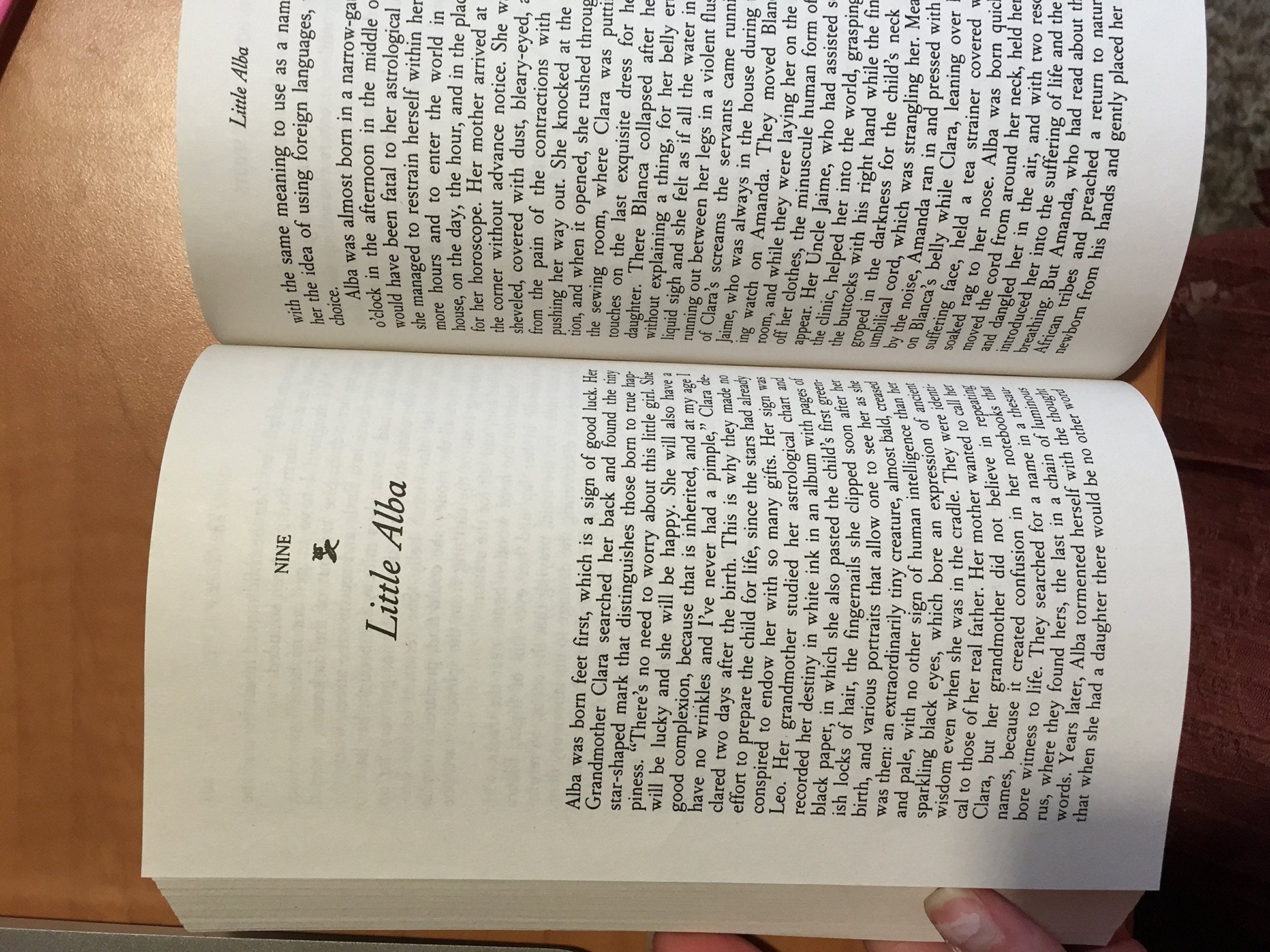 The House of the Spirits: A Novel used book depot