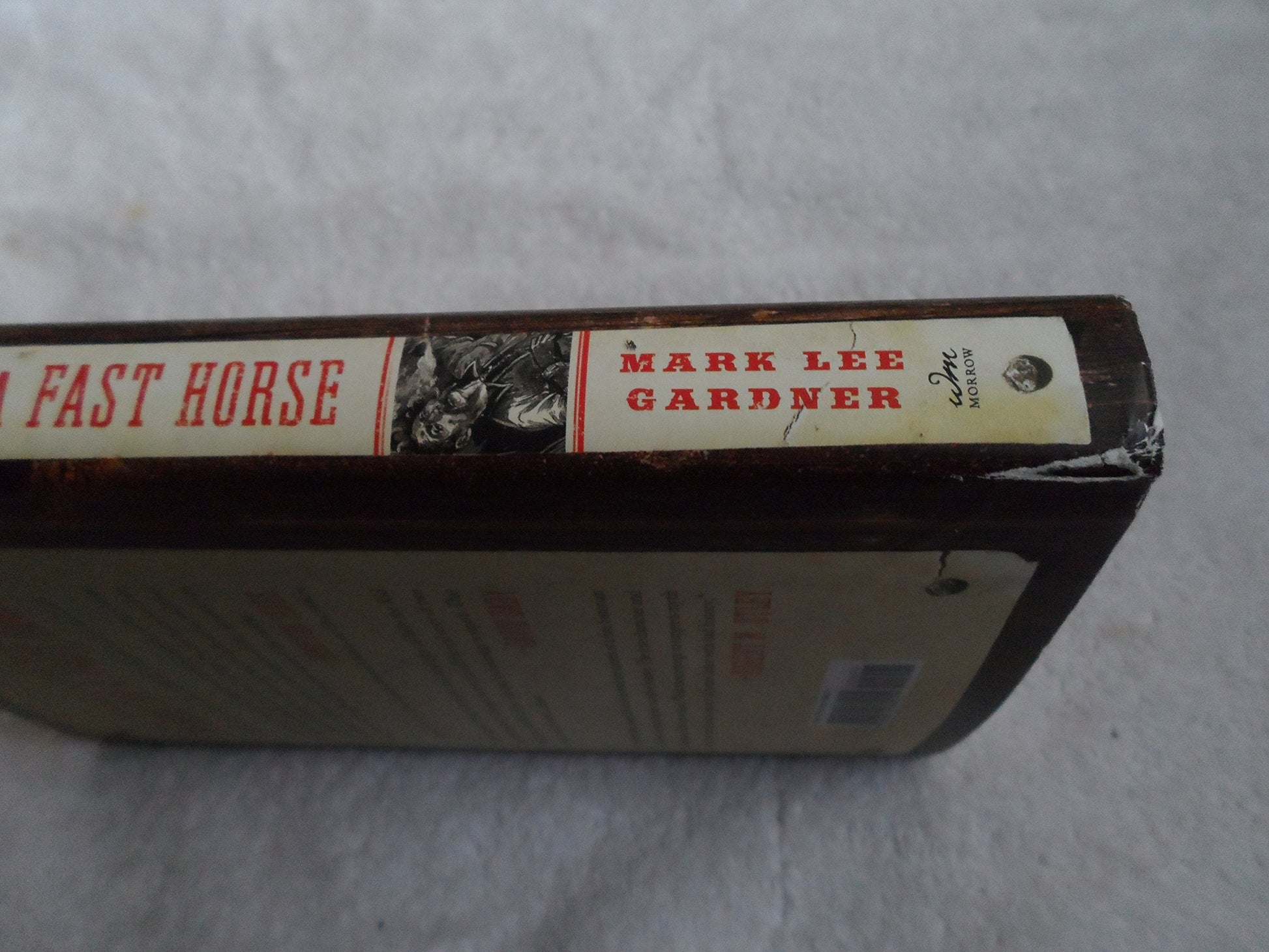 To Hell on a Fast Horse: Billy the Kid, Pat Garrett, and the Epic Chase to Justice in the Old West used book depot