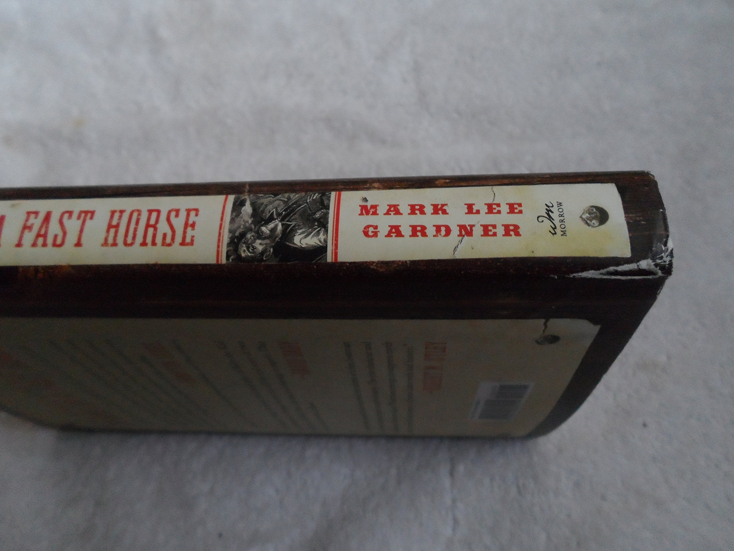 To Hell on a Fast Horse: Billy the Kid, Pat Garrett, and the Epic Chase to Justice in the Old West used book depot