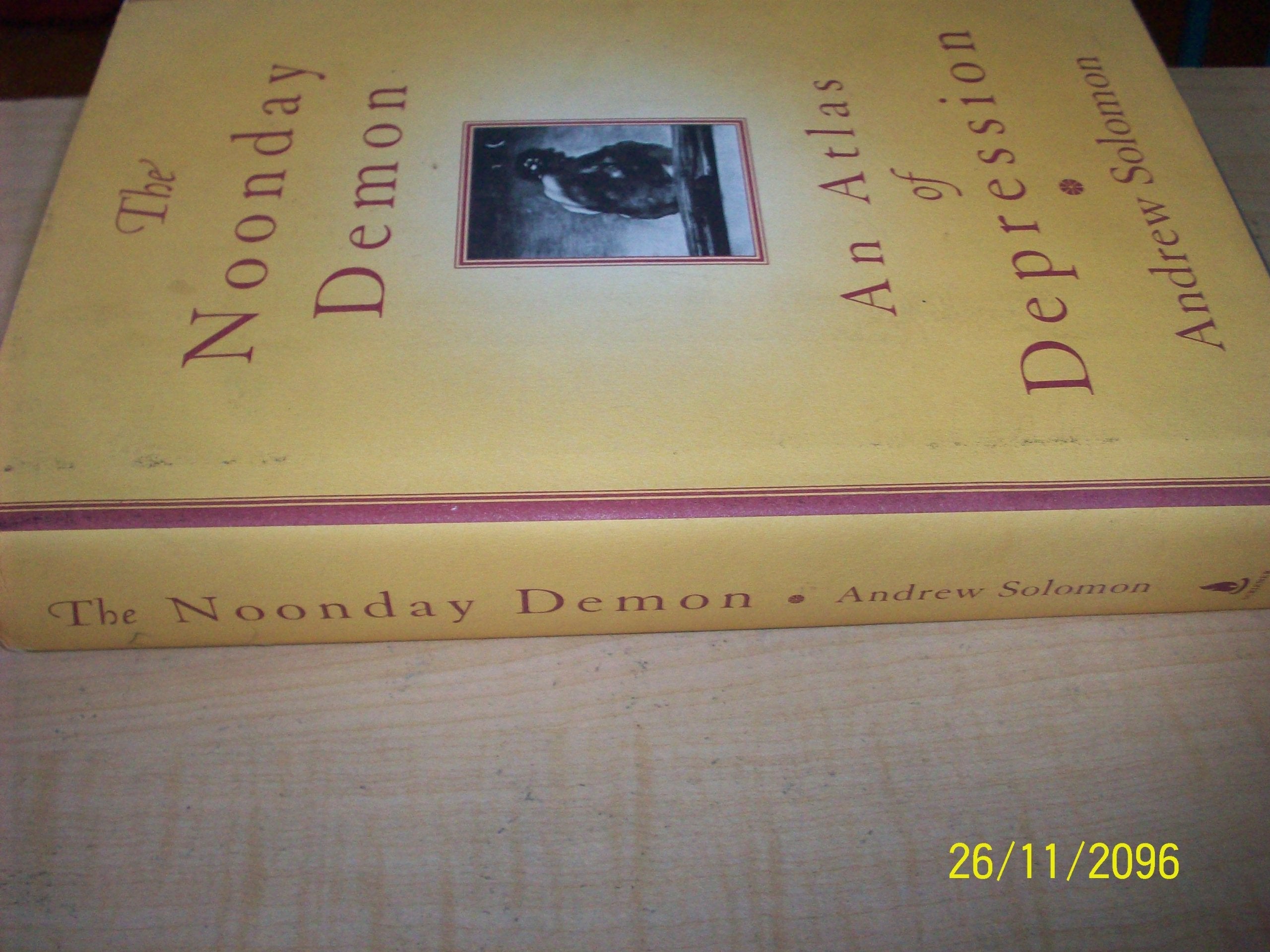 The Noonday Demon: An Atlas Of Depression used book depot