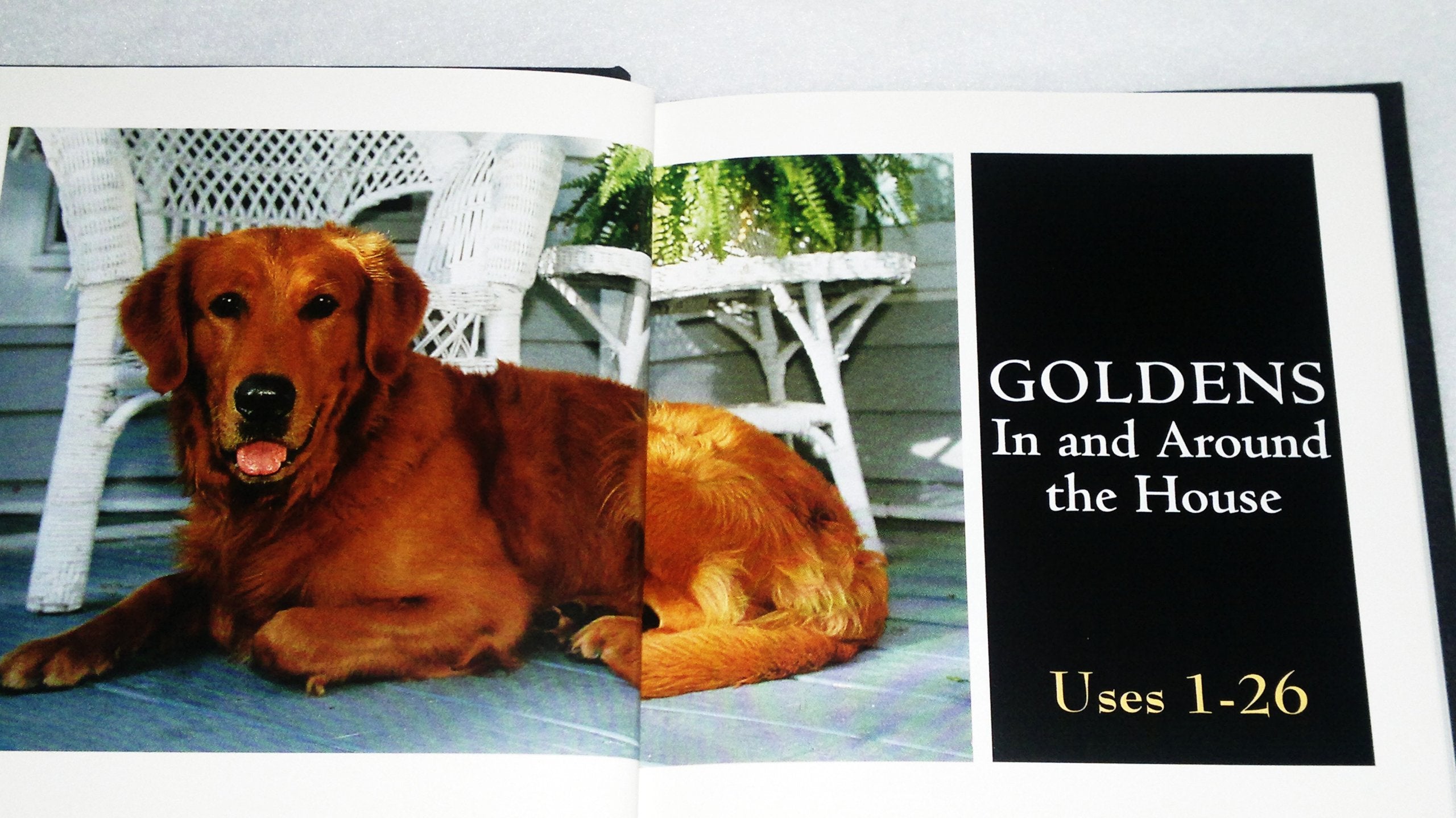 101 Uses for a Golden Retriever