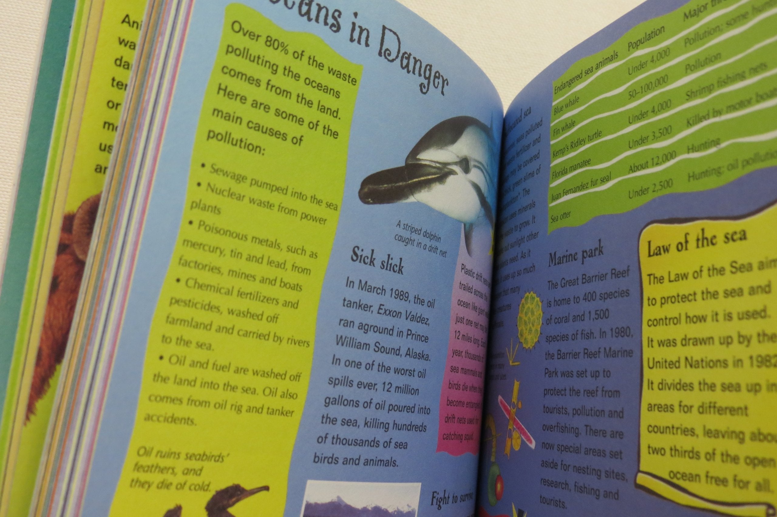 The Usborne Book of Facts and Records: Internet-Linked (Facts and Lists Internet Linked) used book depot