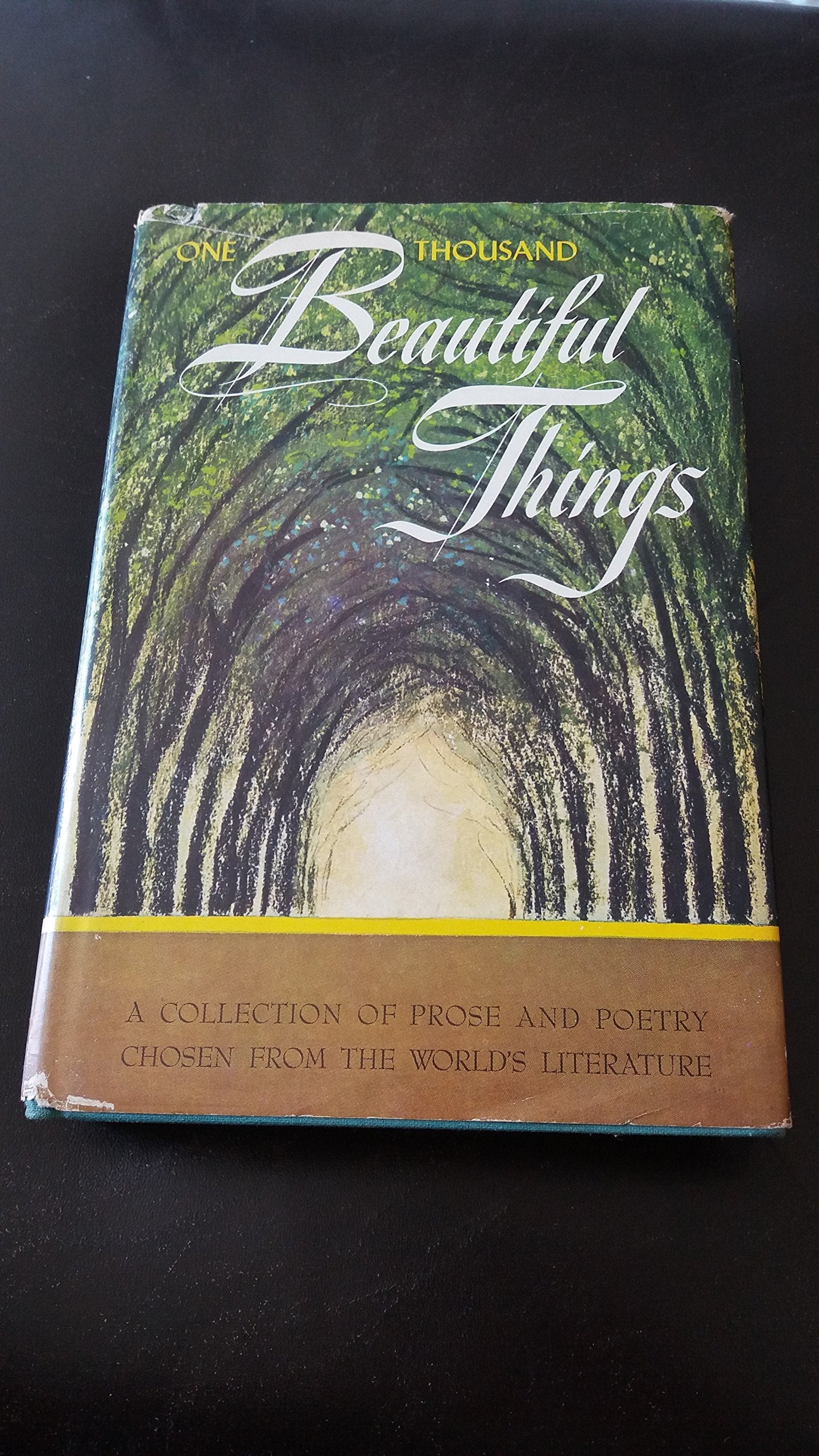 One Thousand Beautiful Things used book depot