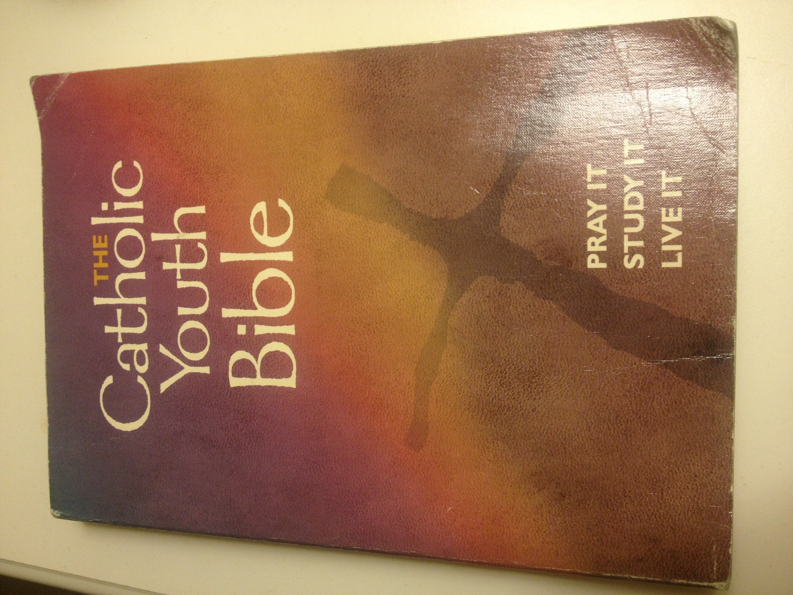The Catholic Youth Bible: New Revised Standard Version : Catholic Edition used book depot