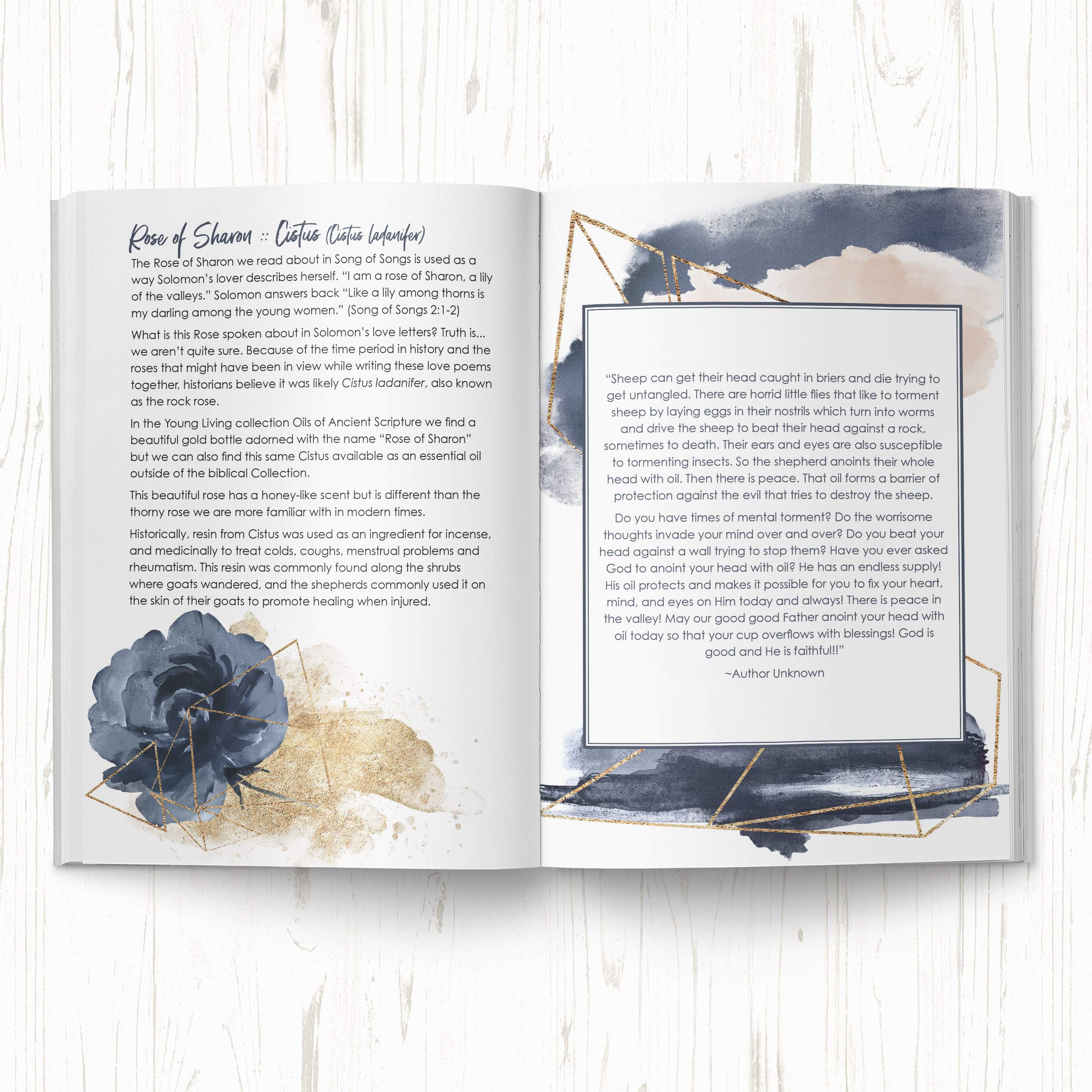 Oils + Scripture