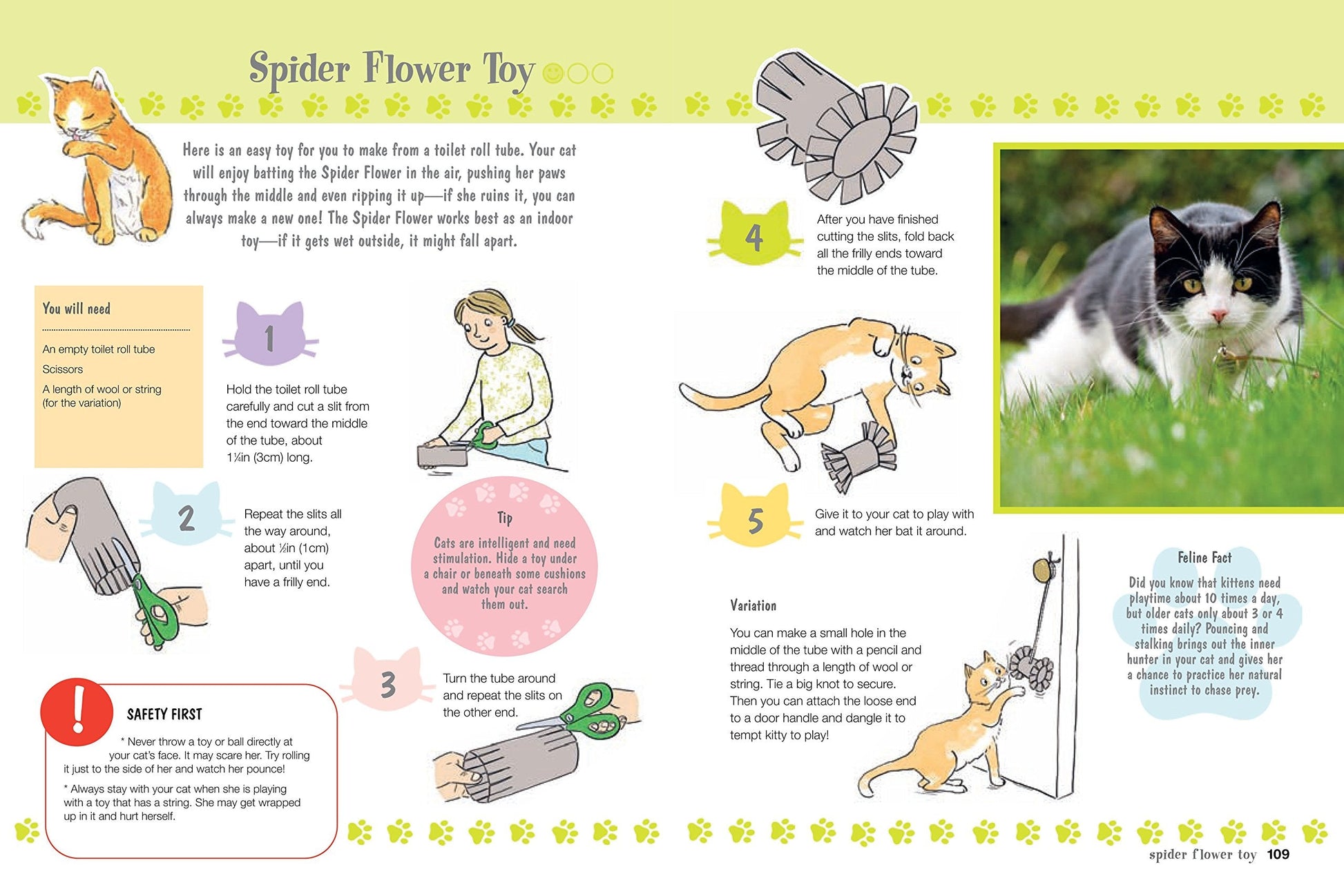 My First Cat Book: Simple and fun ways to care for your feline friend for kids aged 7+ used book depot