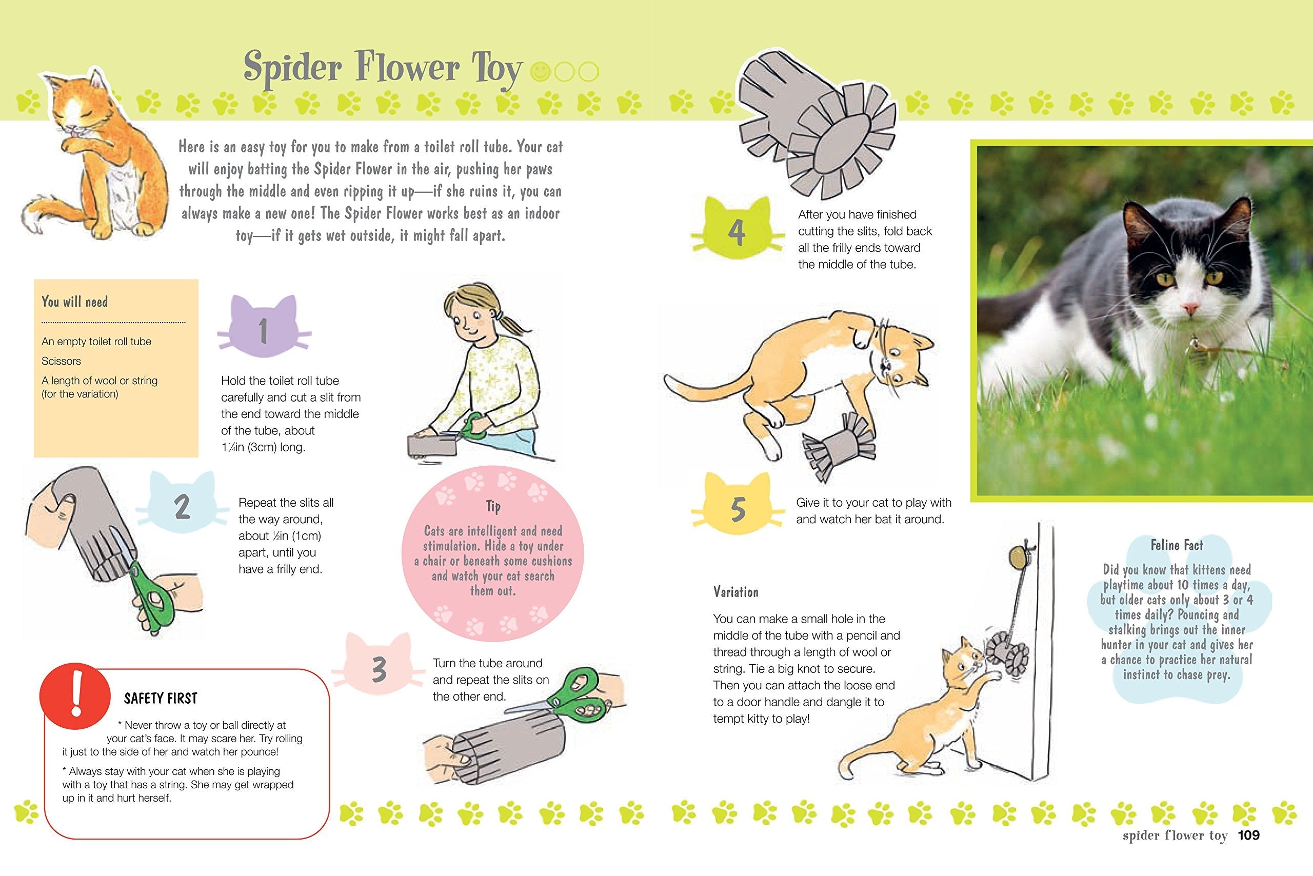 My First Cat Book: Simple and fun ways to care for your feline friend for kids aged 7+ used book depot