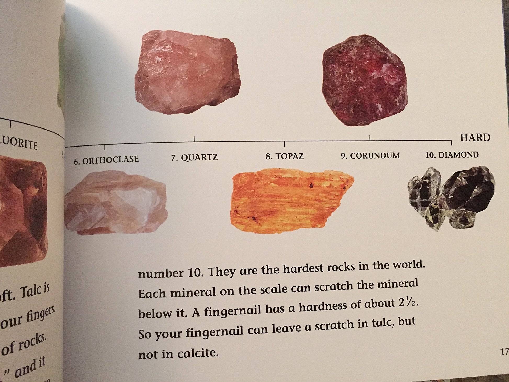 Why Do Leaves Change Color? (Let's-Read-and-Find-Out Science, Stage 2) used book depot