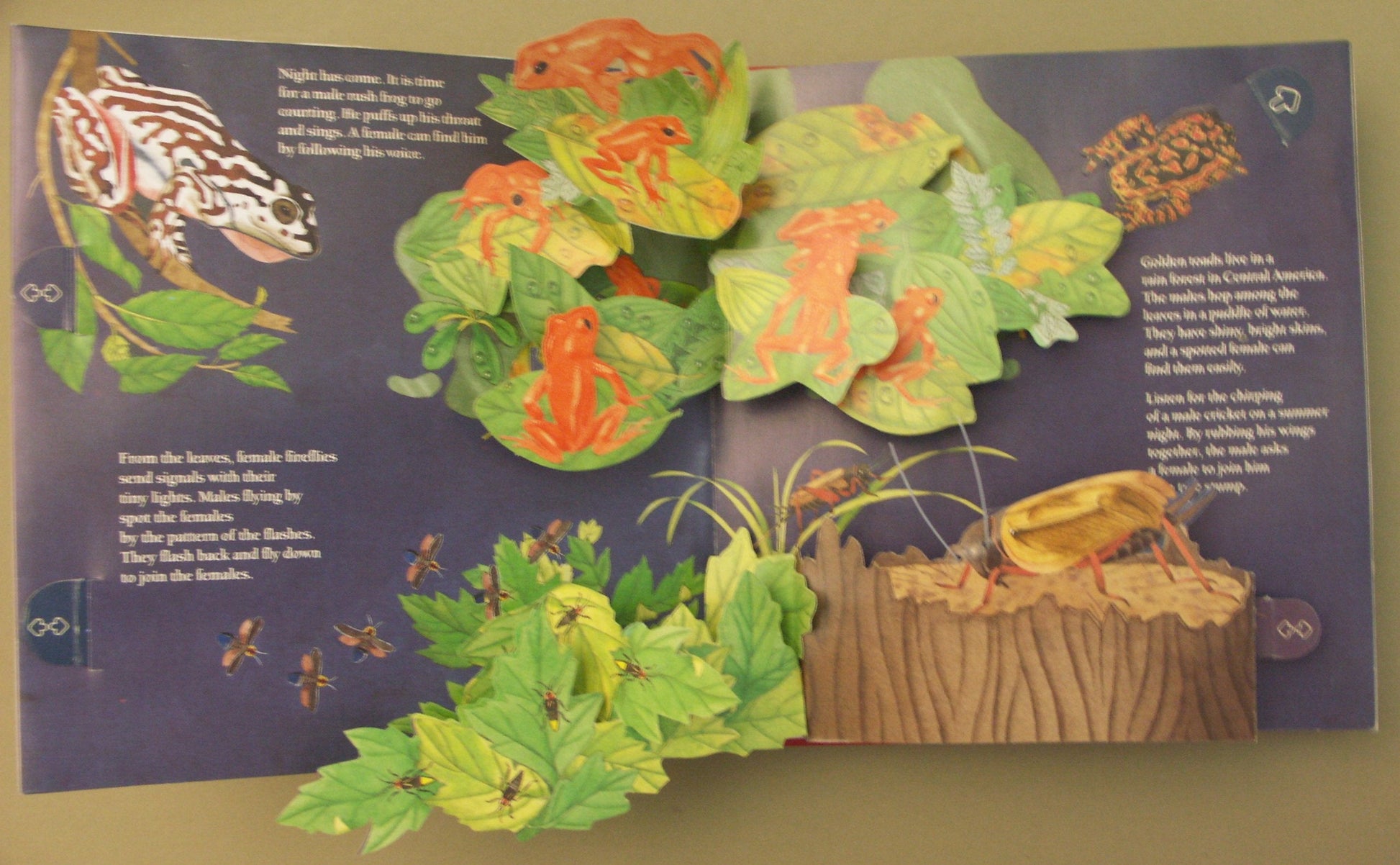 Animals Showing Off (A Pop-Up Book) (National Geographic Action Book) used book depot