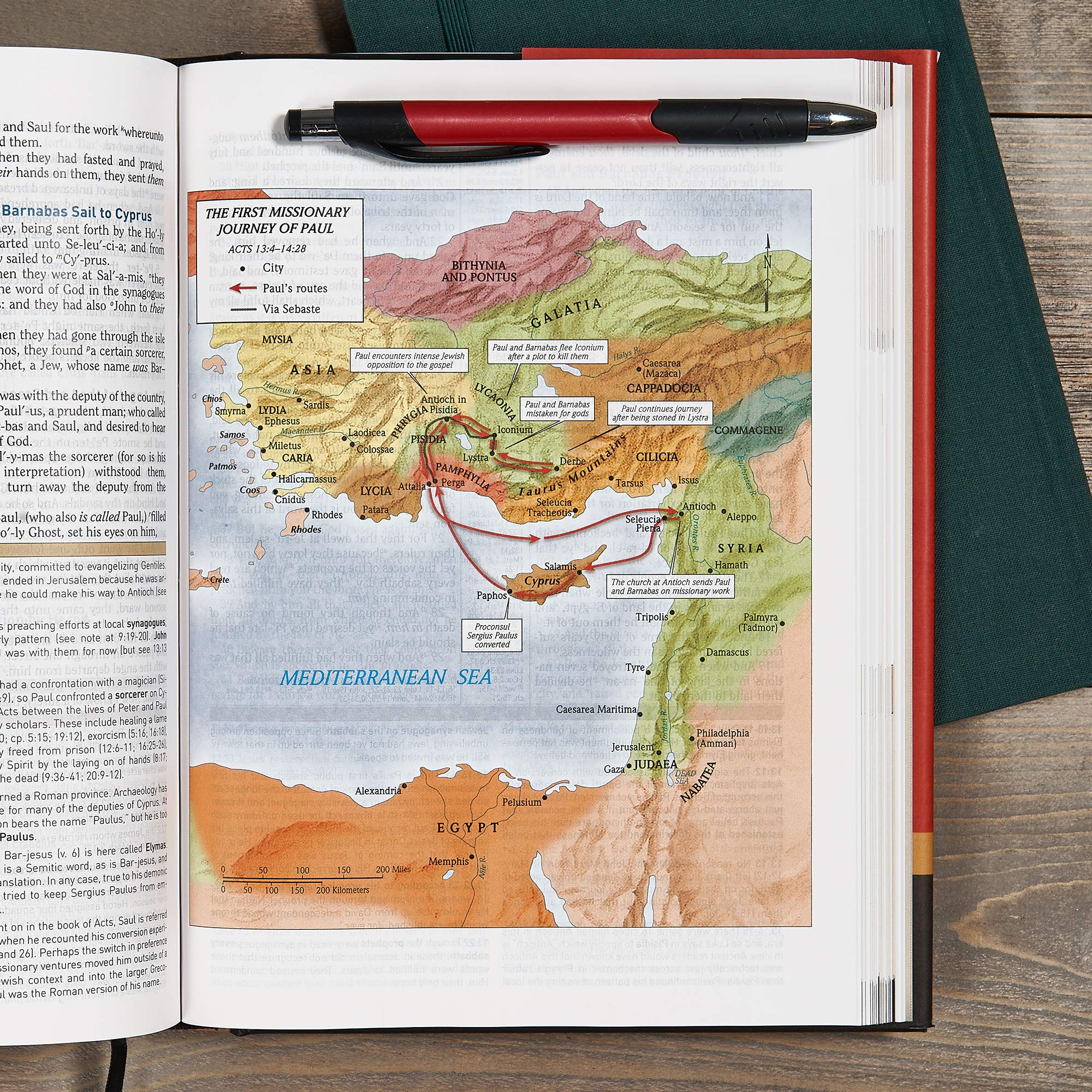 KJV Study Bible