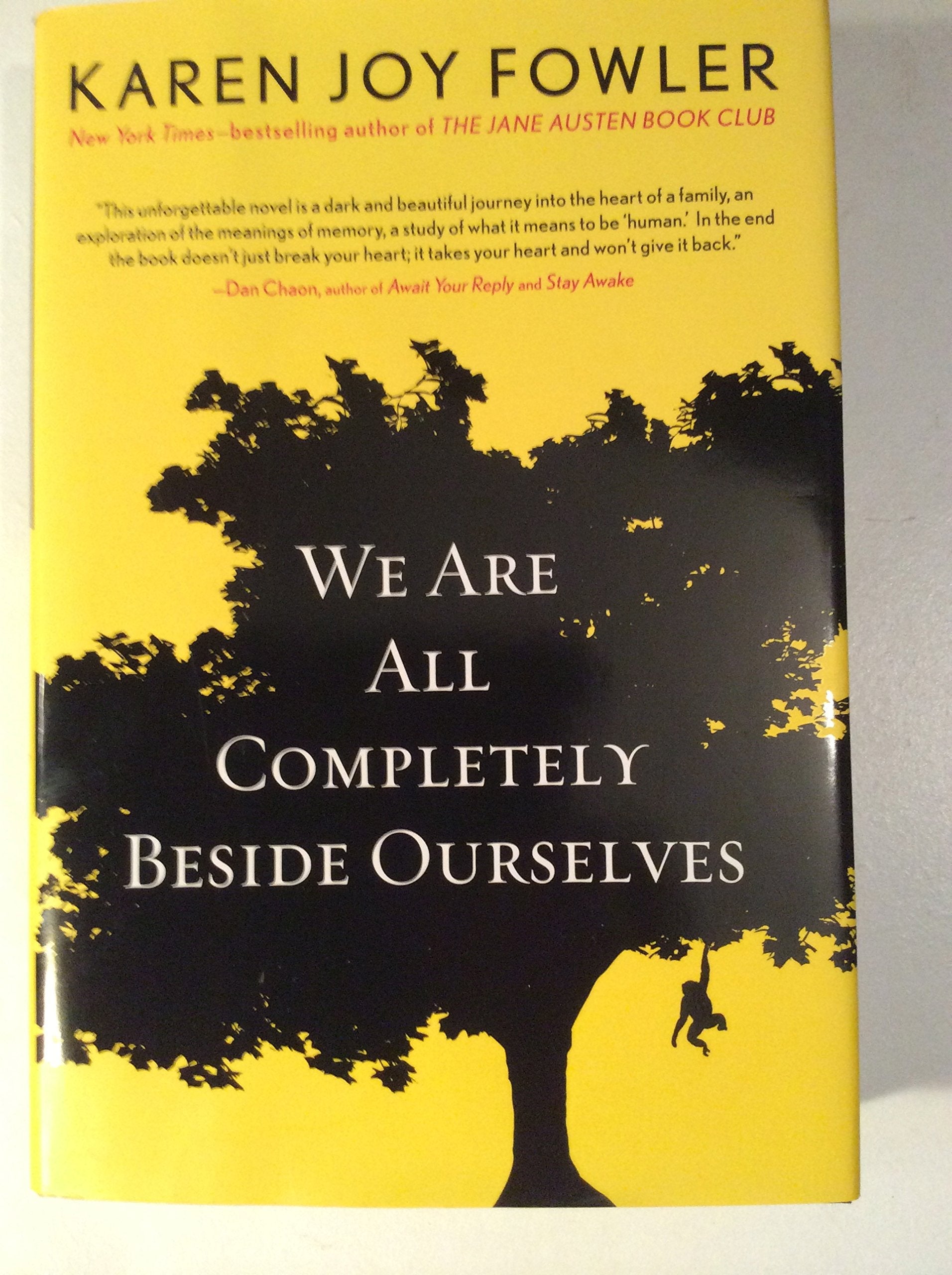 We Are All Completely Beside Ourselves used book depot