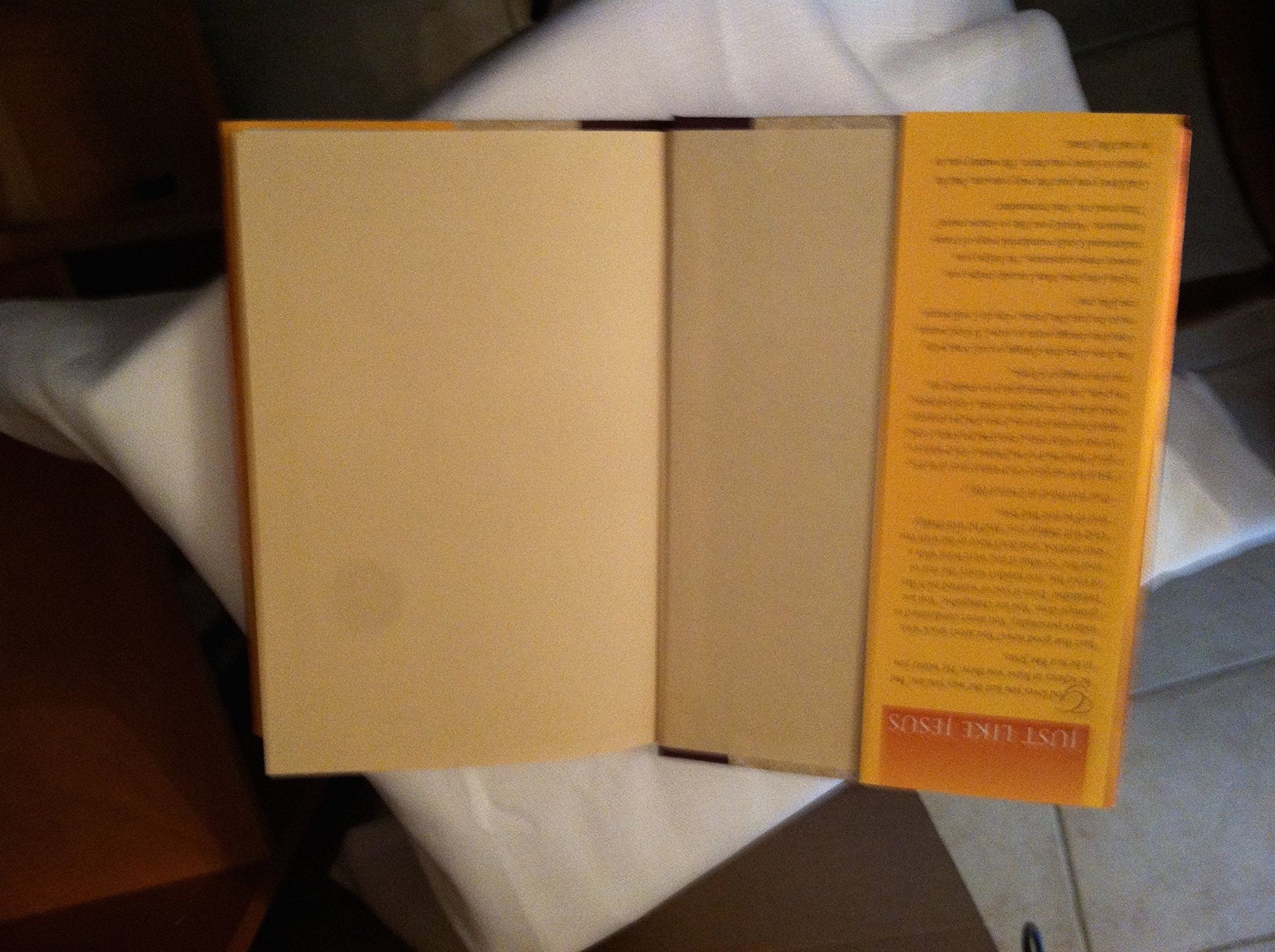 JUST LIKE JESUS used book depot