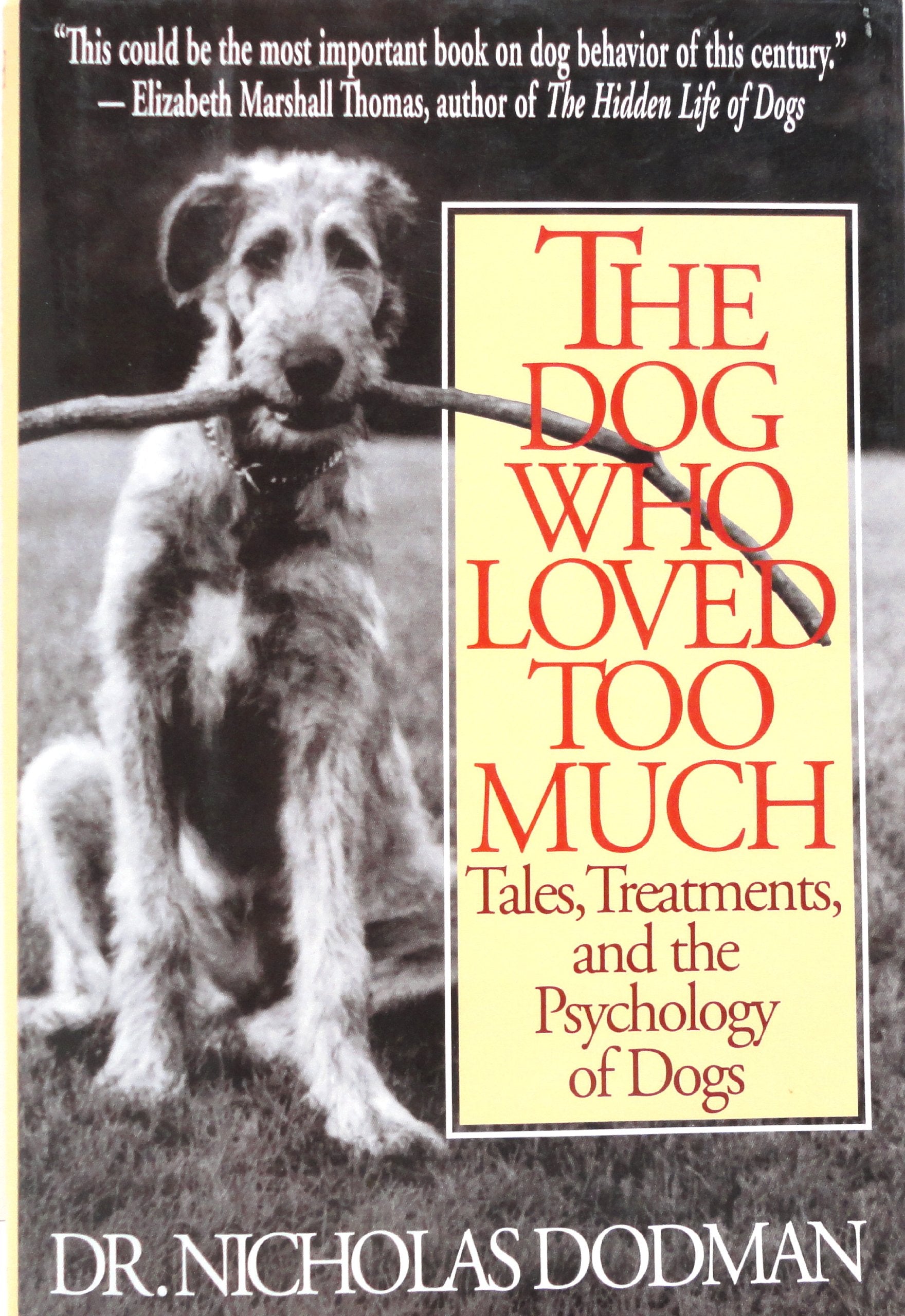 The Dog Who Loved Too Much: Tales, Treatment And The Psychology Of Dogs