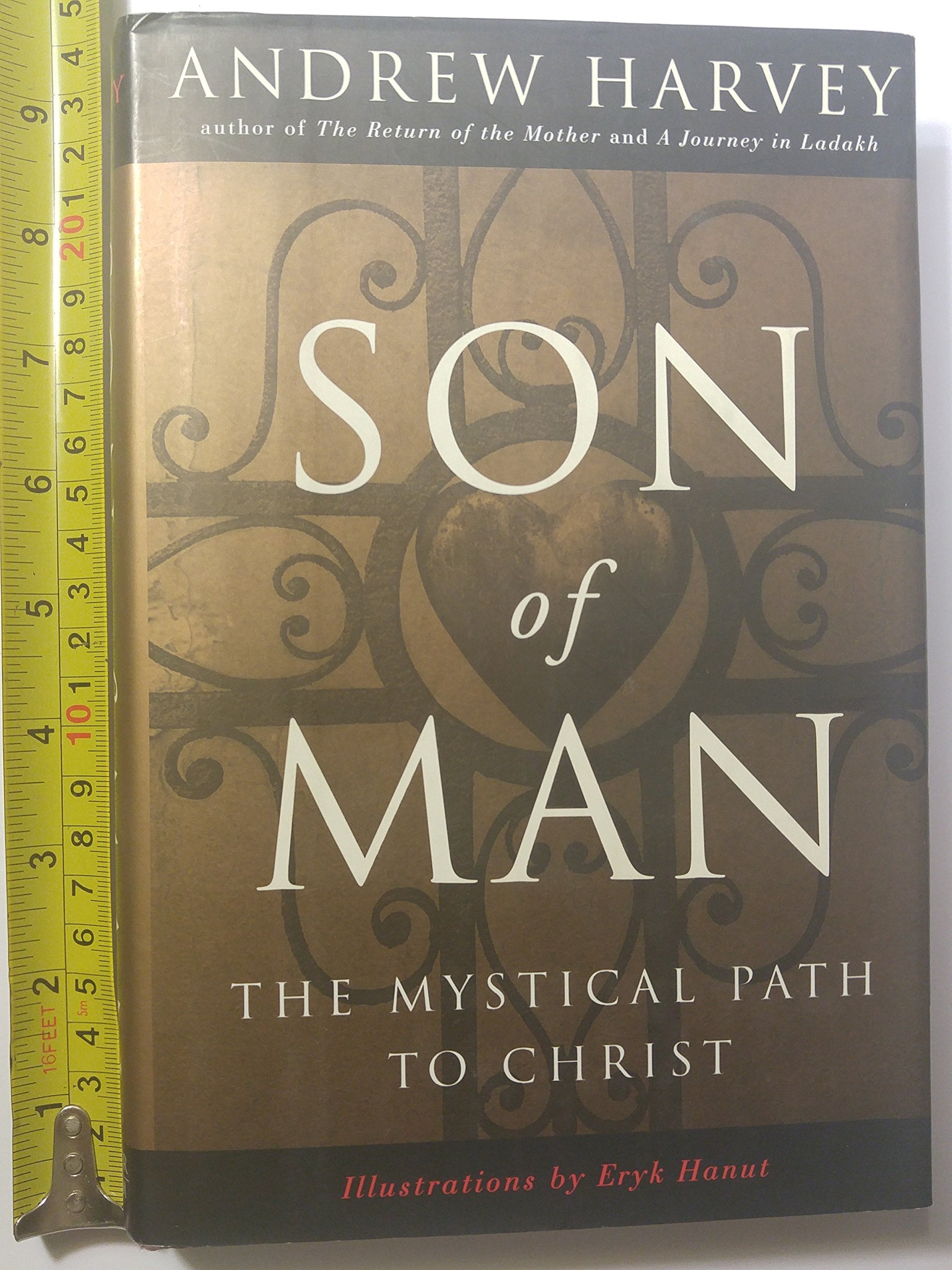 Son of Man: The Mystical Path to Christ used book depot