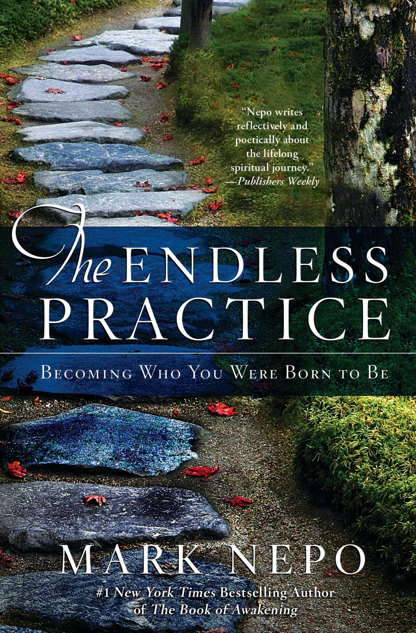 The Endless Practice: Becoming Who You Were Born to Be used book depot