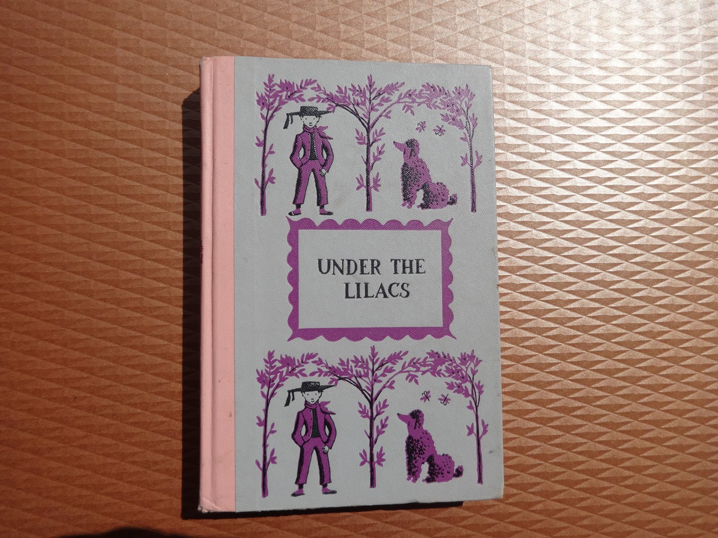Under the Lilacs used book depot