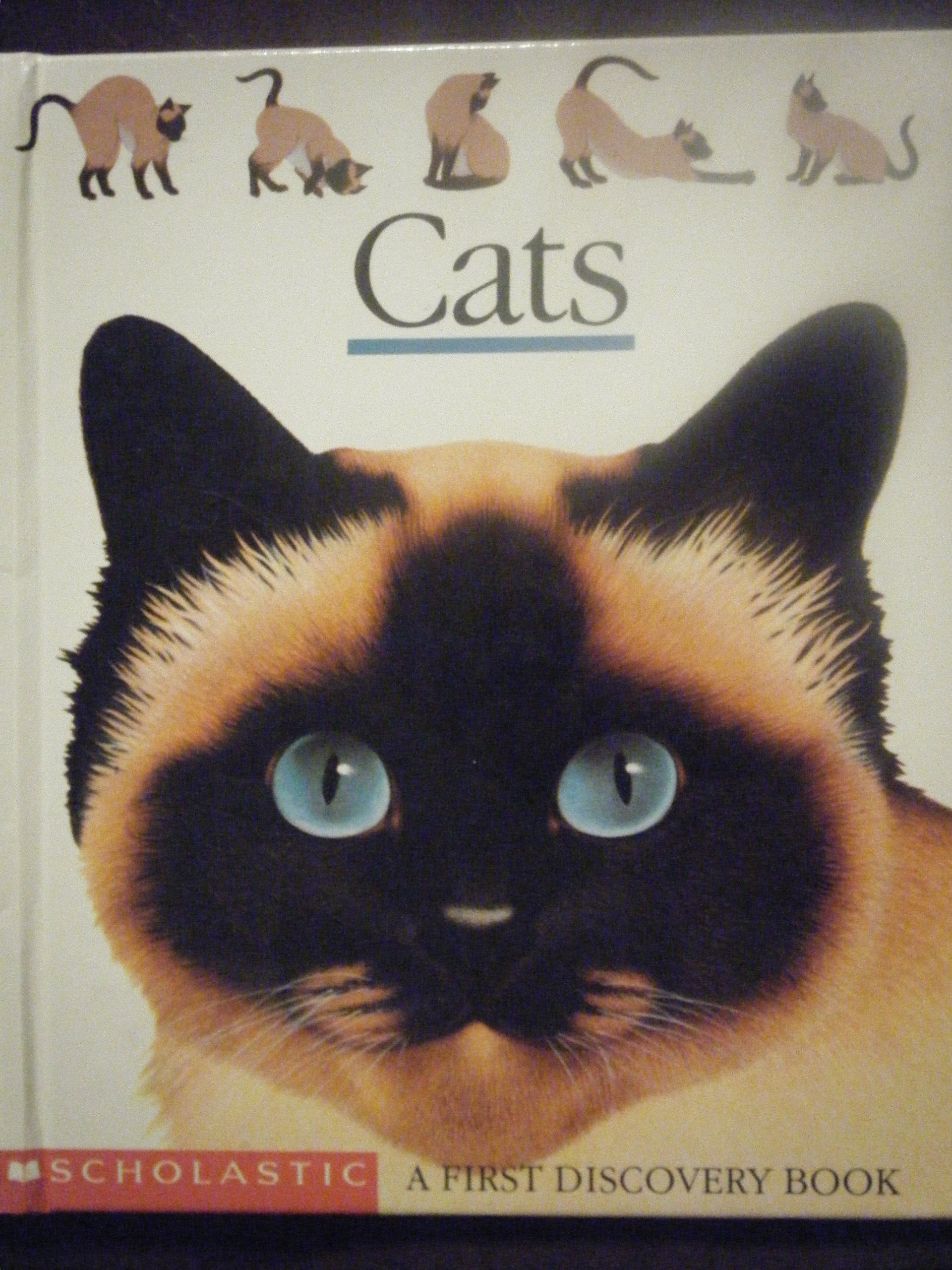 Cats (First Discovery Books) used book depot