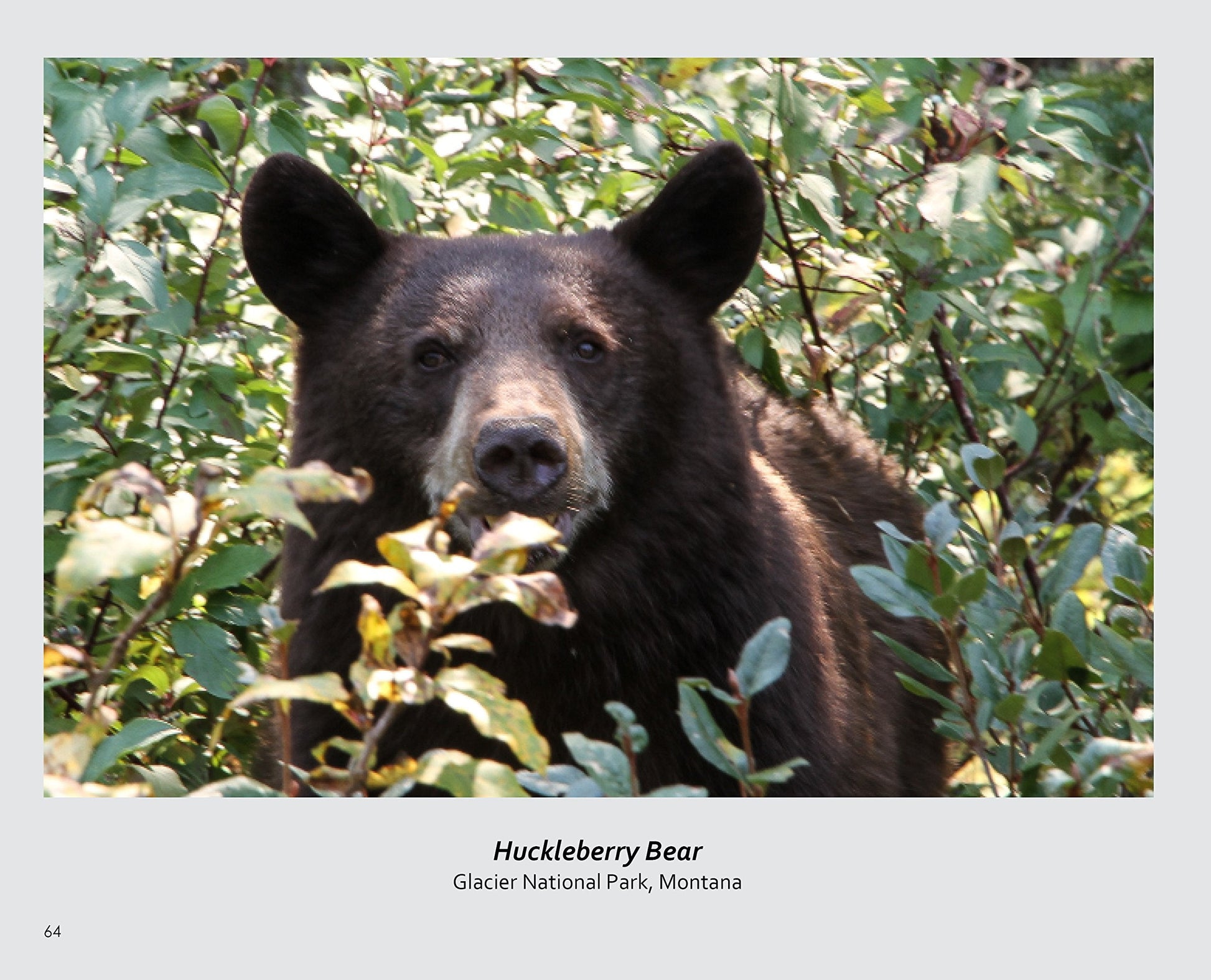 Exploring America: A Photographic Journey used book depot