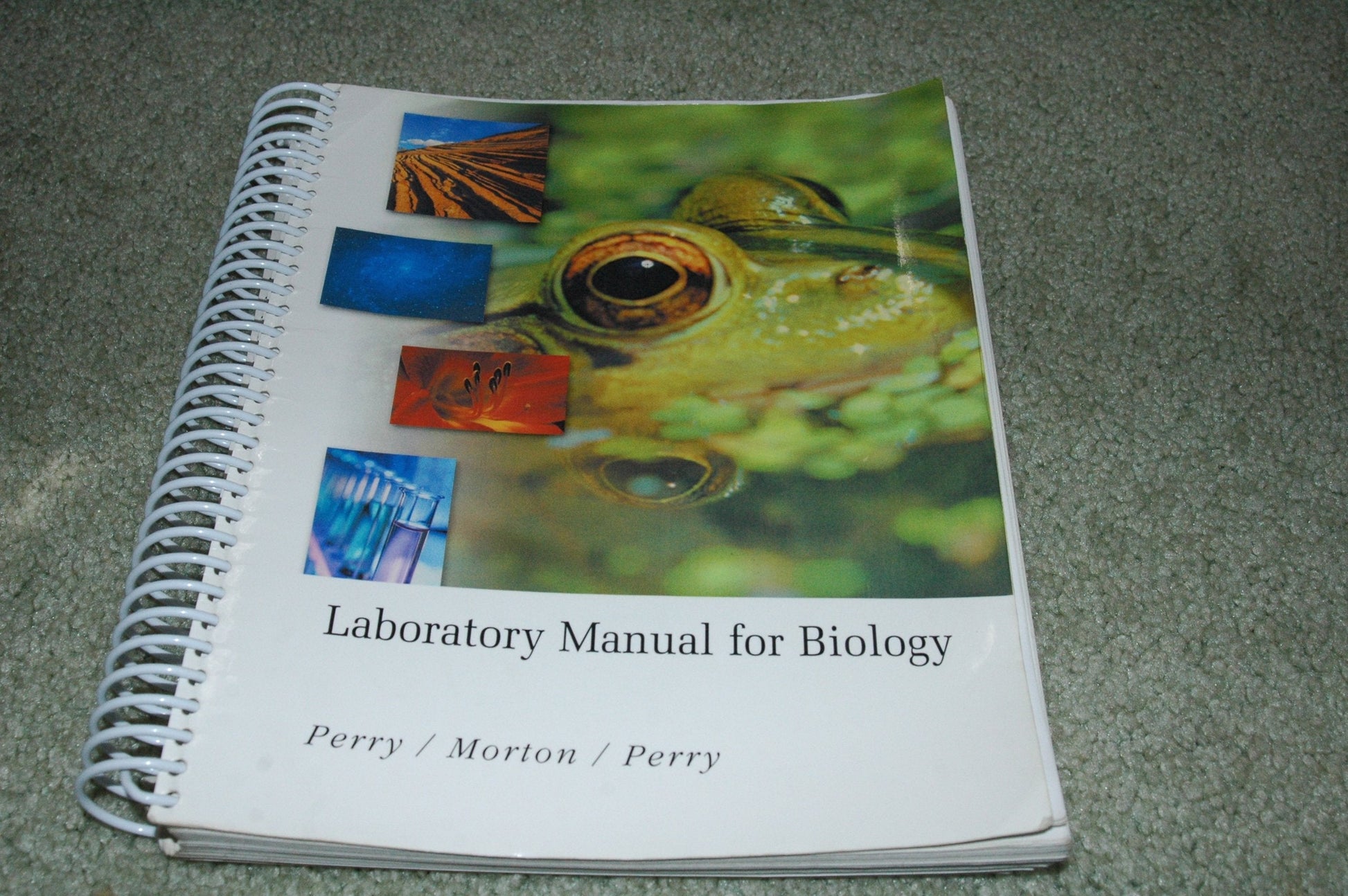 Lab Manual for Majors General Biology used book depot