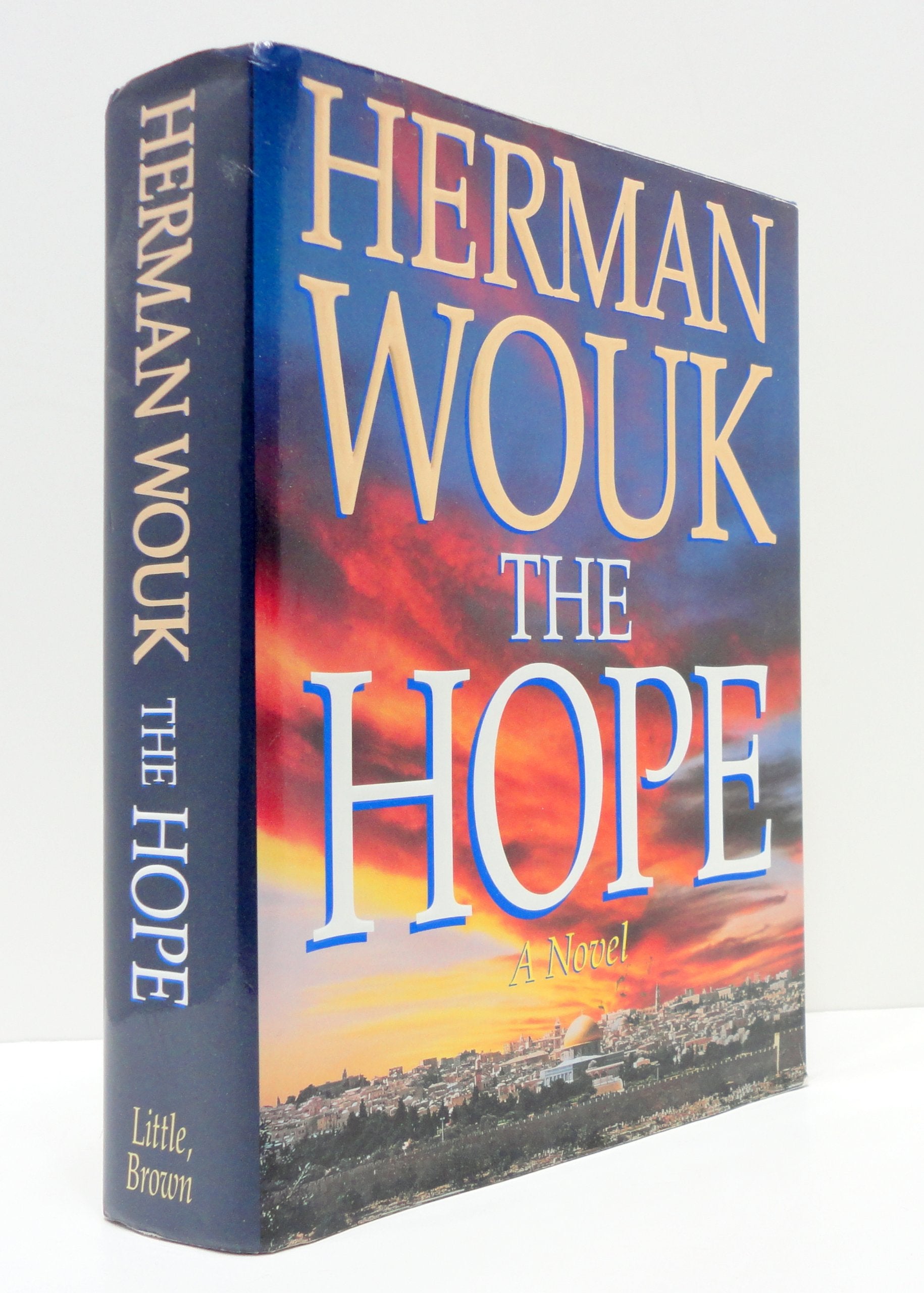 The Hope, A Novel used book depot