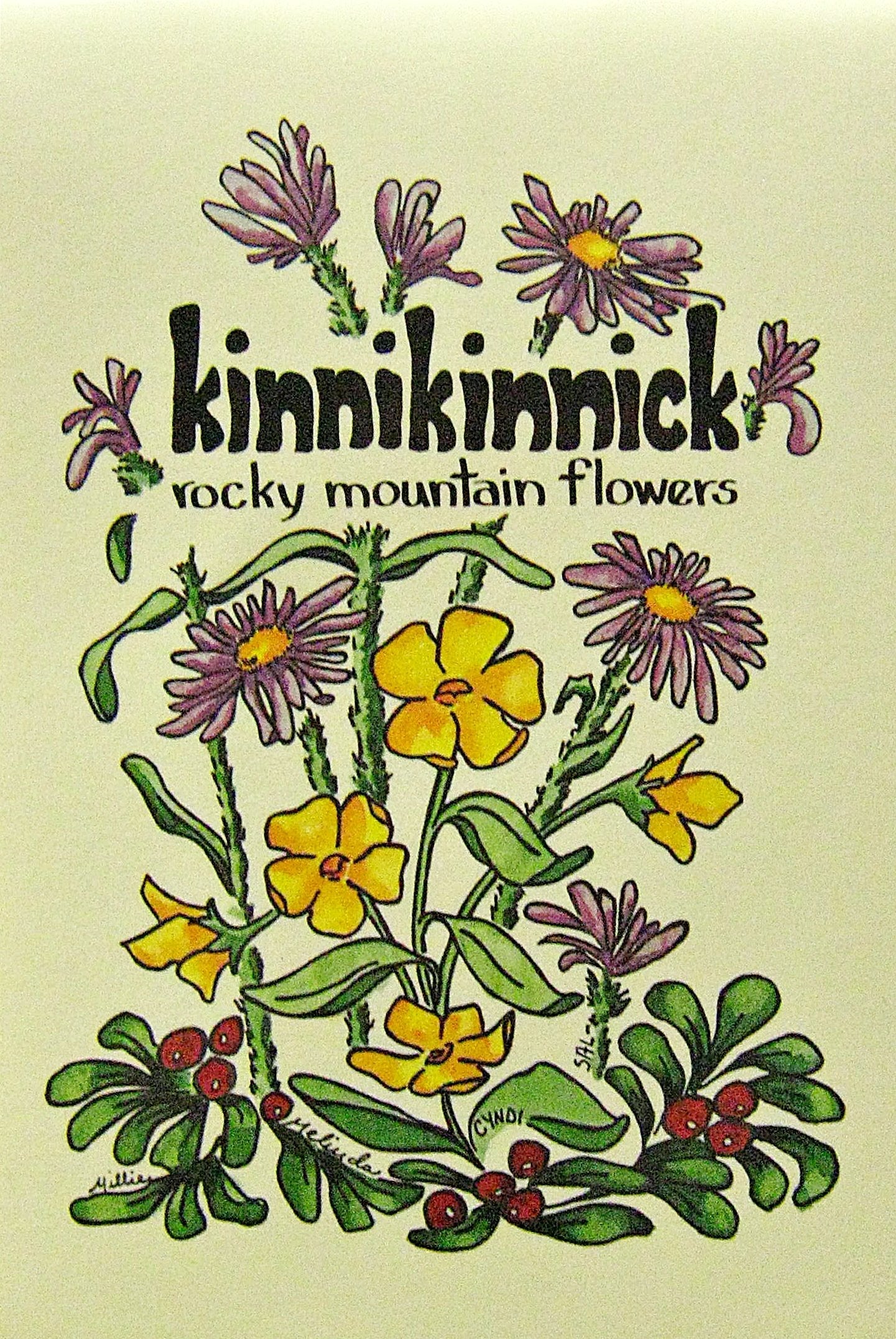 Kinnikinnick: The Mountain Flower Book used book depot