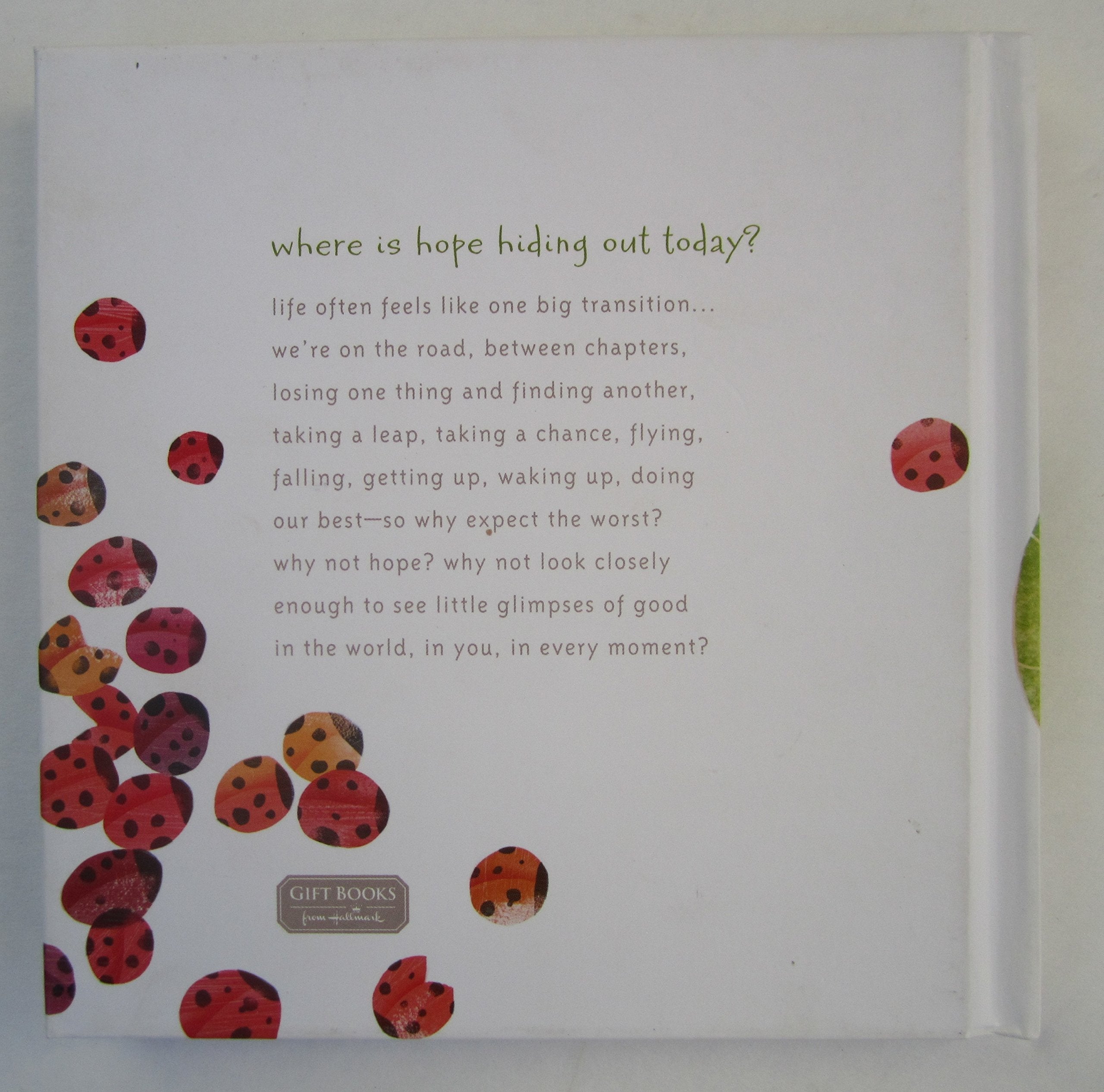 Little Glimpses of Good (Finding Hope in Every Today) used book depot