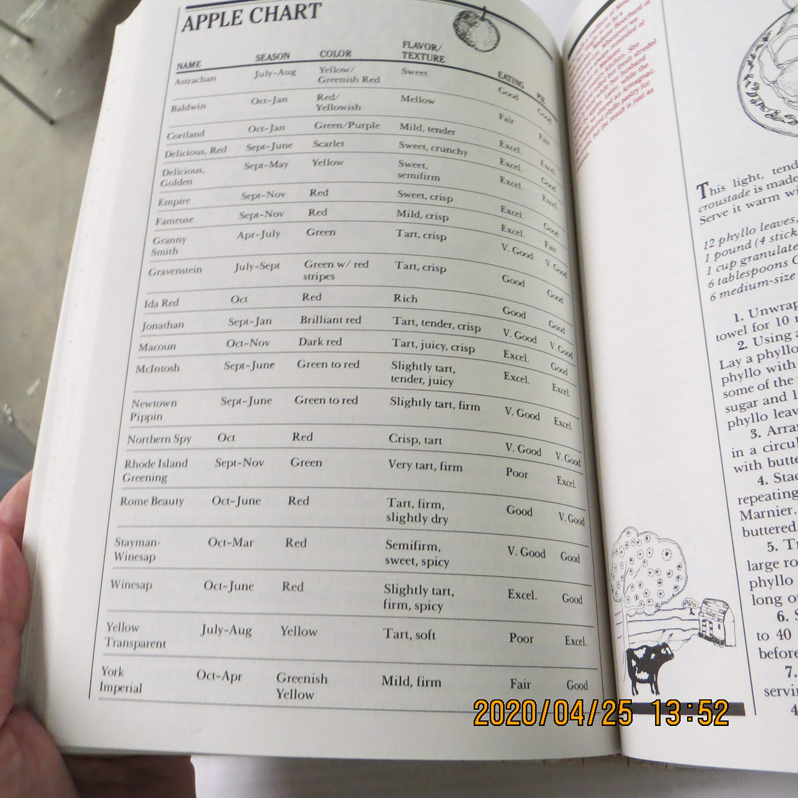 The Silver Palate Cookbook