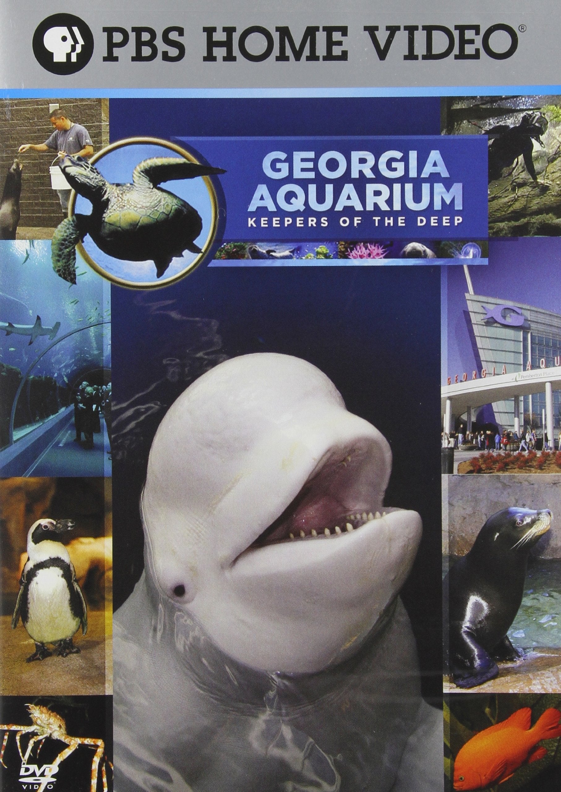 Georgia Aquarium - Keepers of the Deep used book depot