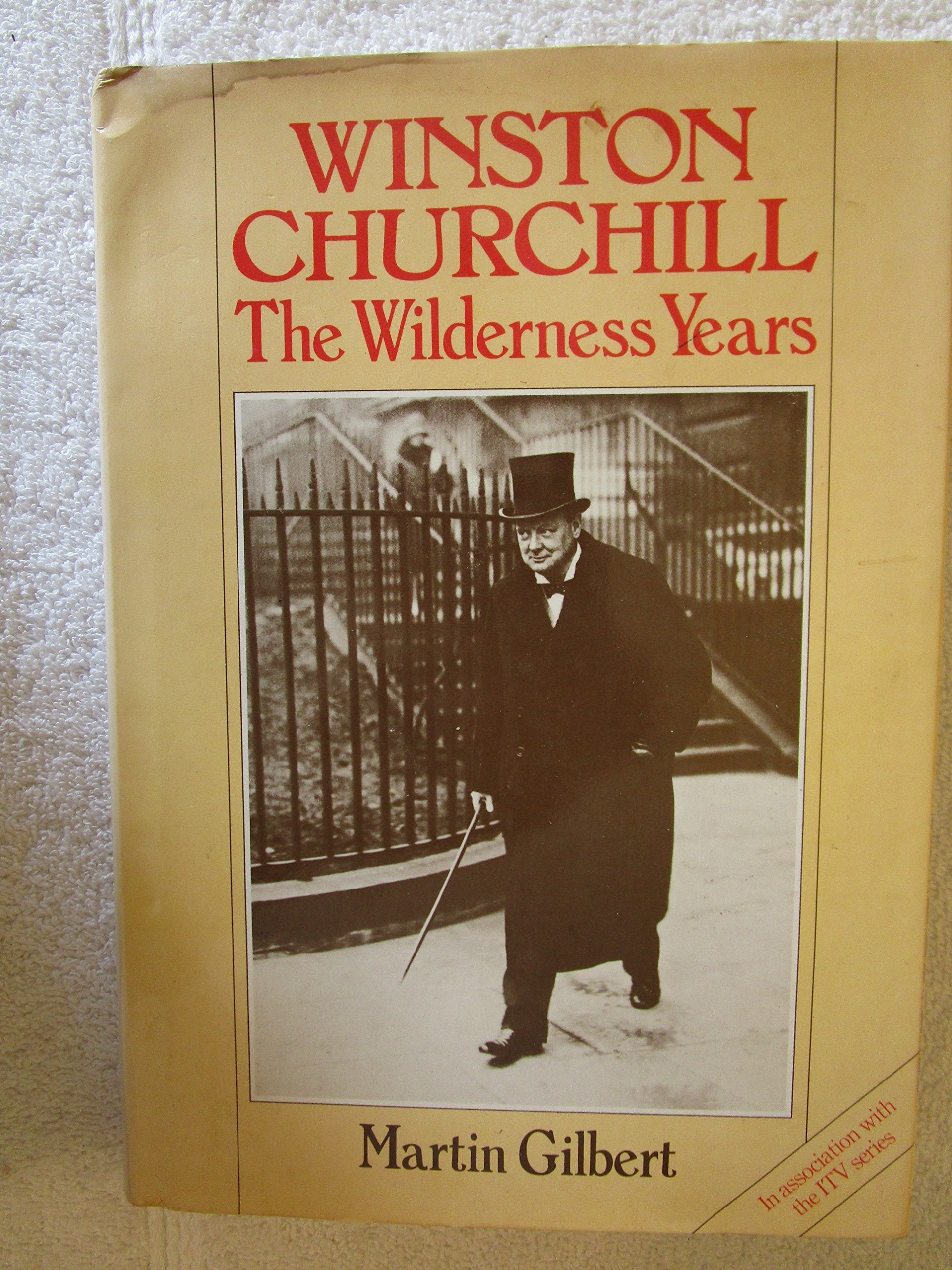 Winston Churchill: The Wilderness Years used book depot