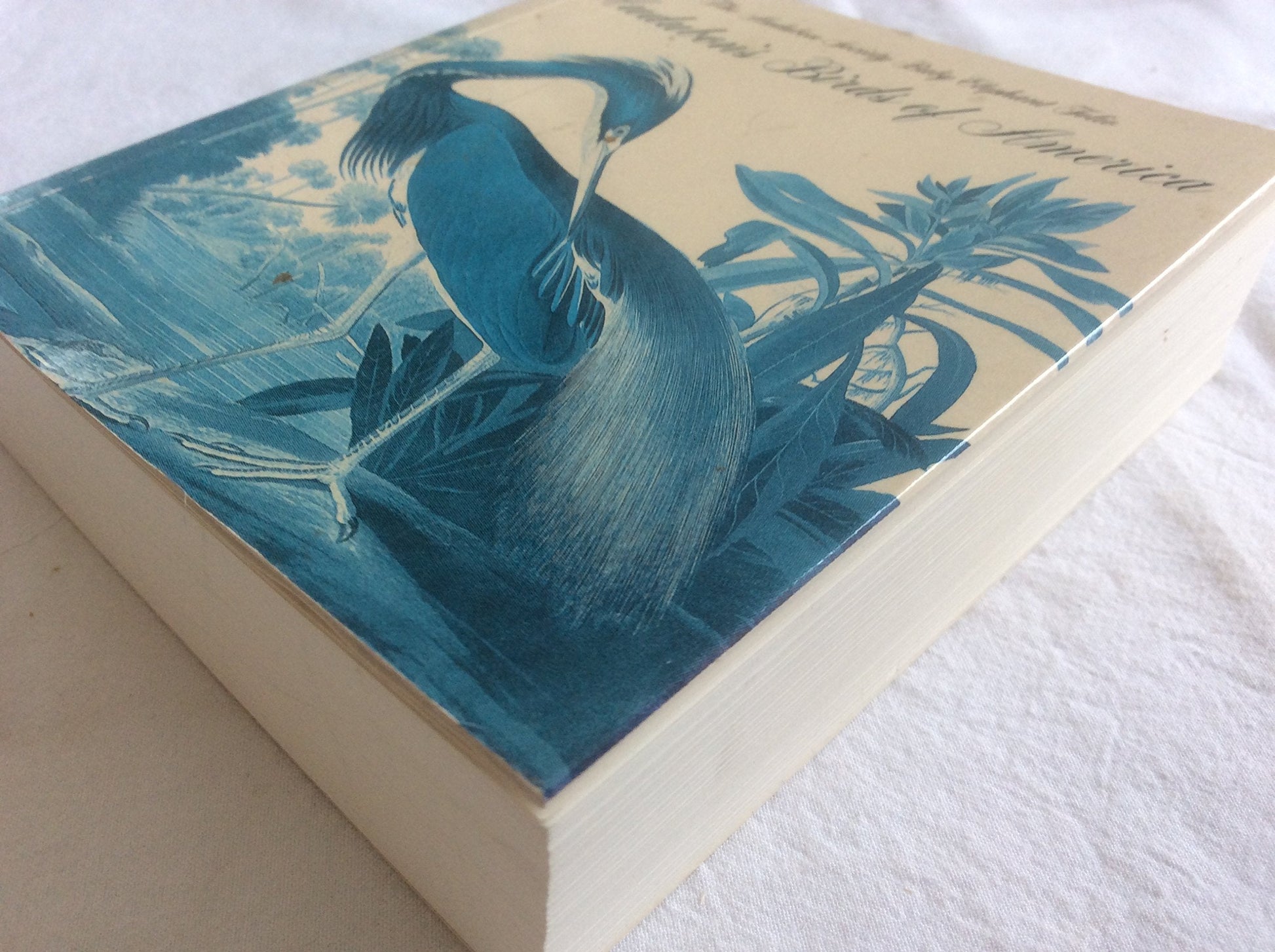 Audubon's Birds of America : The Audubon Society Baby Elephant Folio (Tiny Folios) used book depot