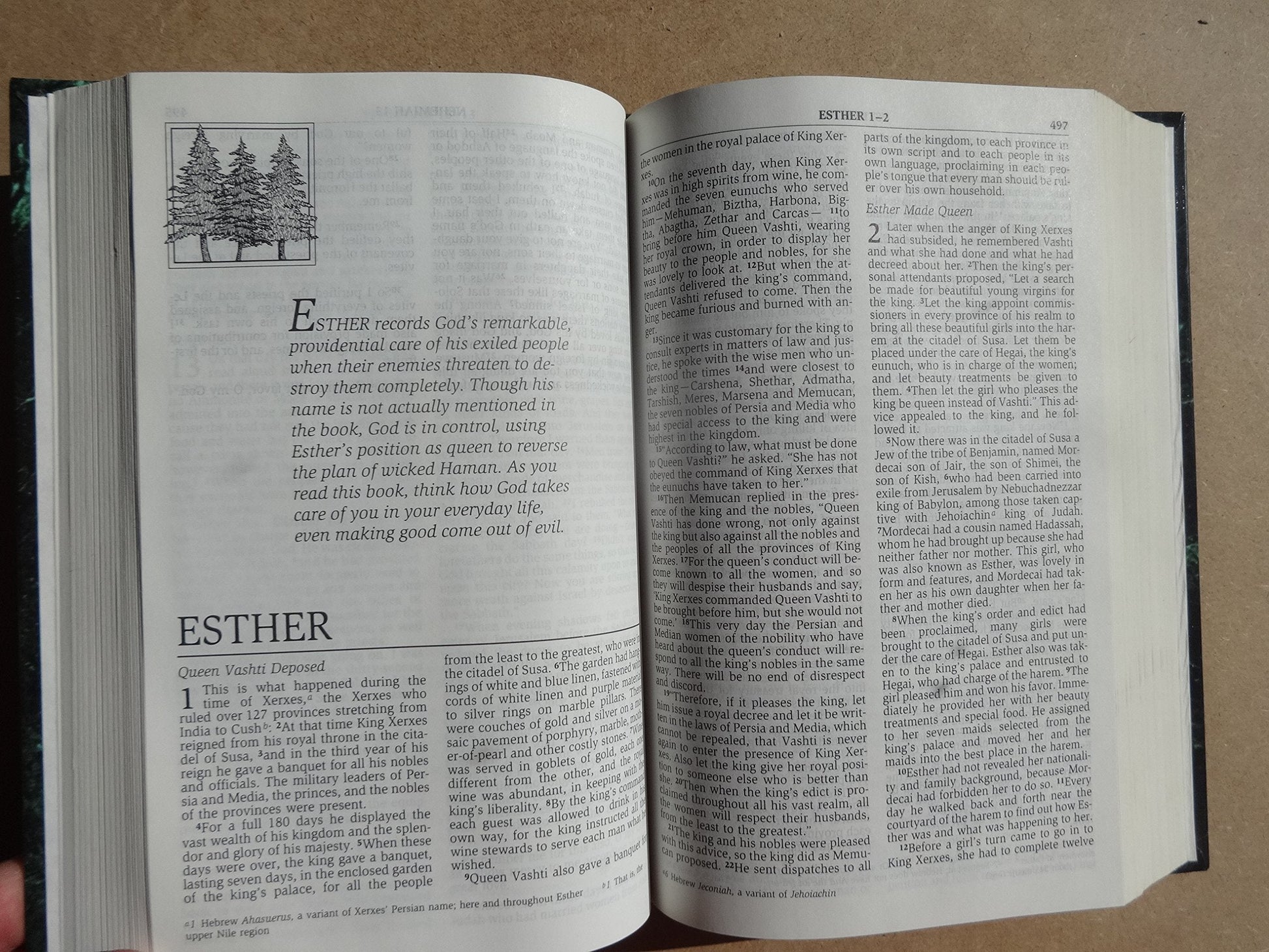 NIV Men's Devotional Bible: New International Version used book depot