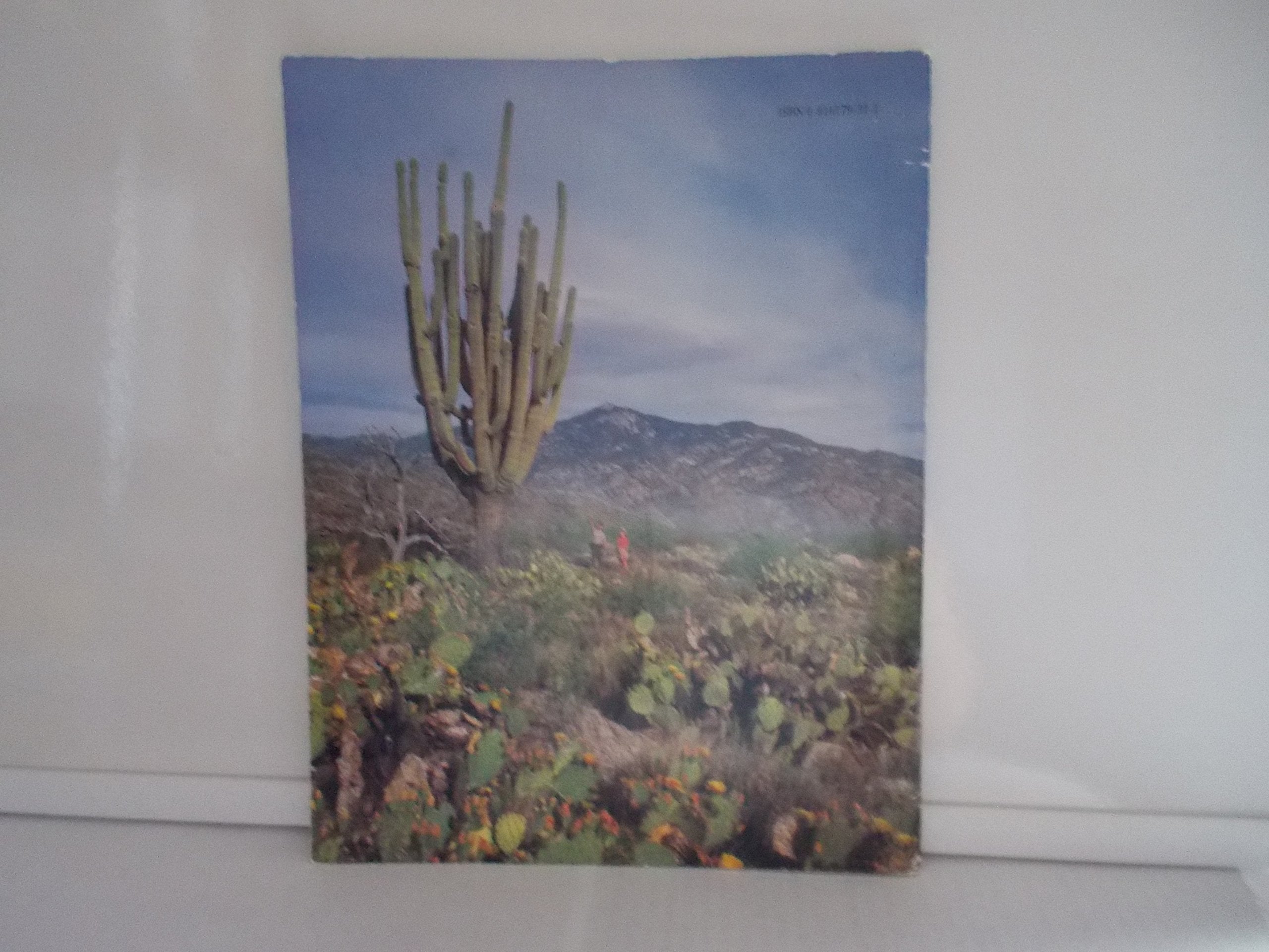 All About Saguaros used book depot