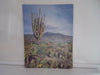 All About Saguaros [Paperback] Hodge, Carle