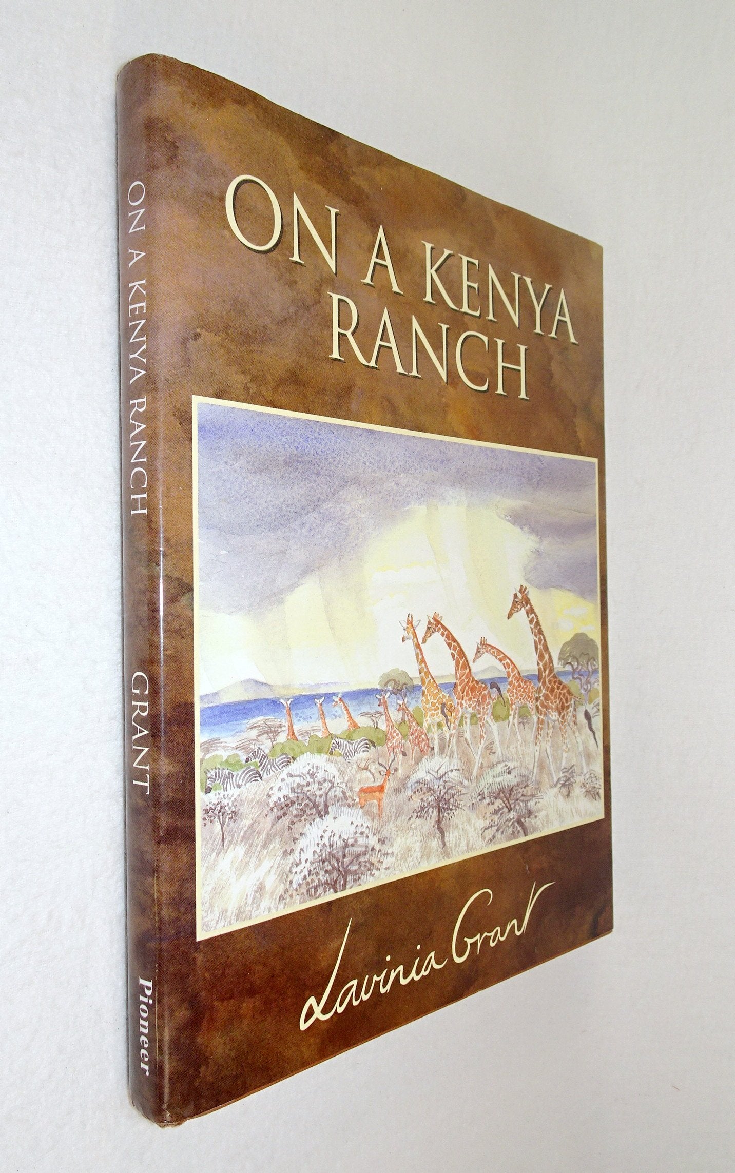 On a Kenya Ranch used book depot