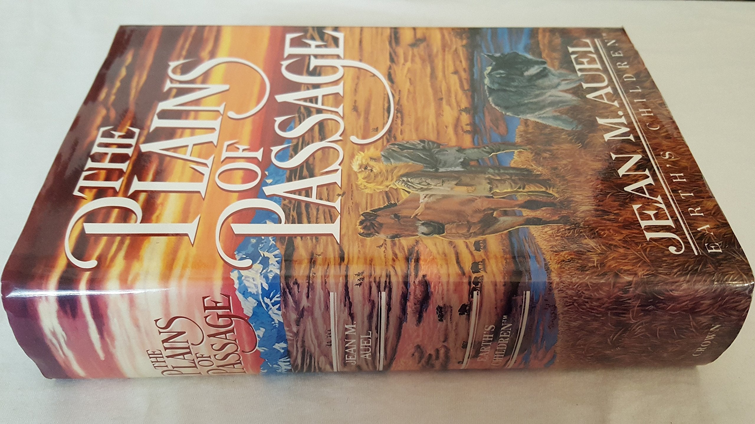 The Plains Of Passage used book depot