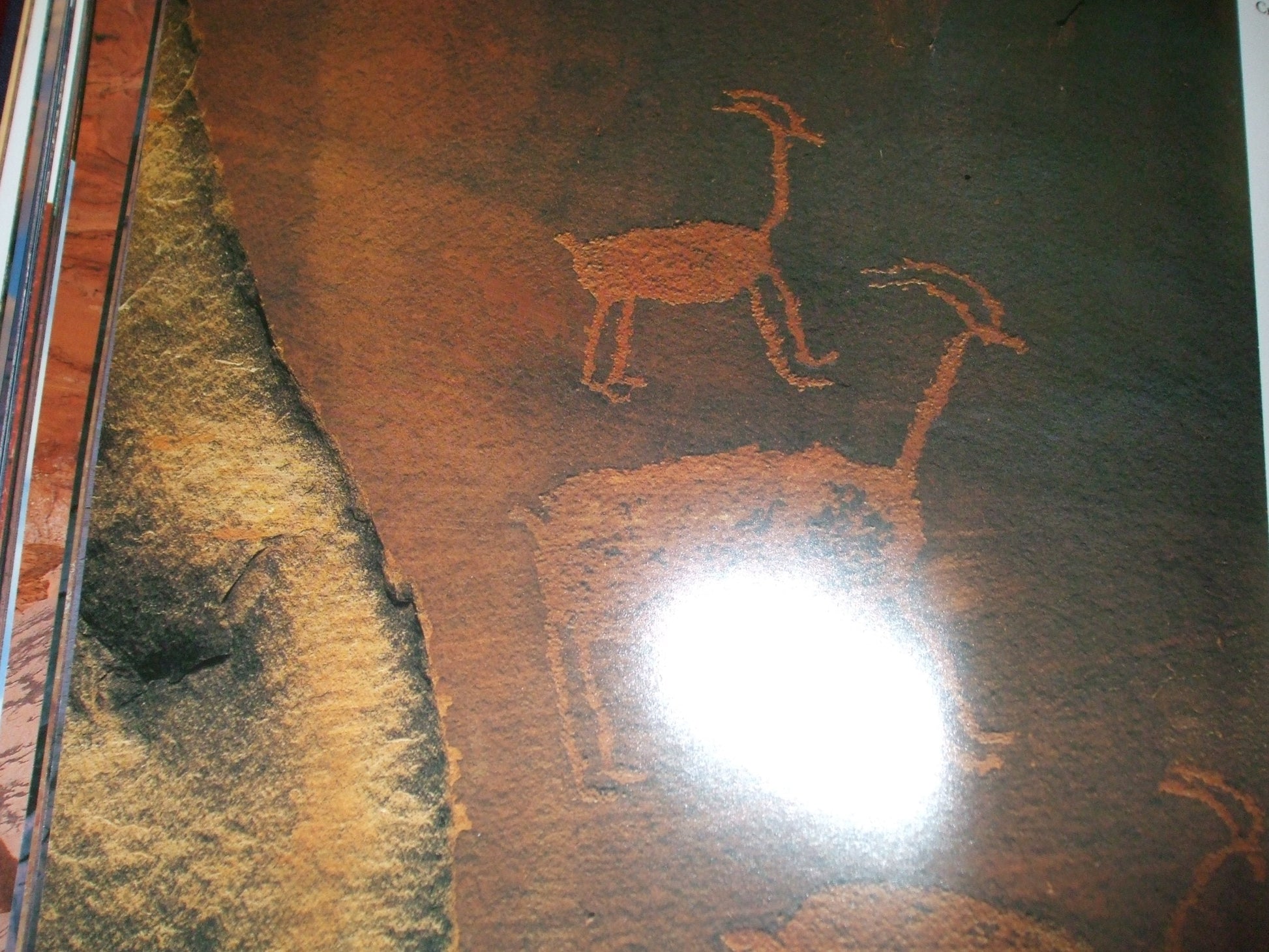 Images in Stone used book depot