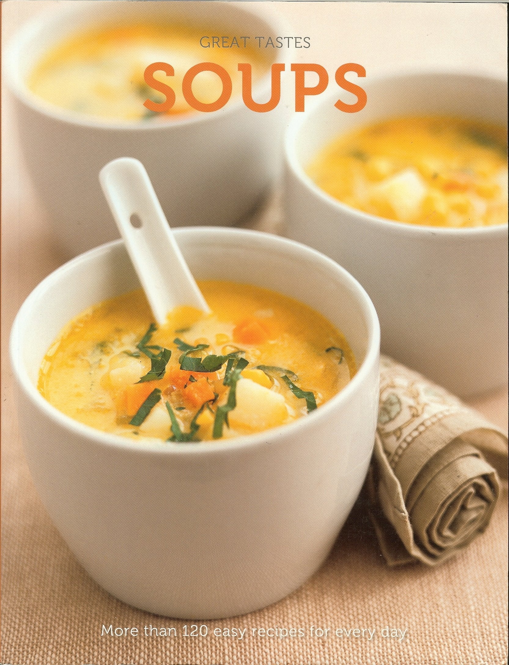 Great Tastes - Soups used book depot