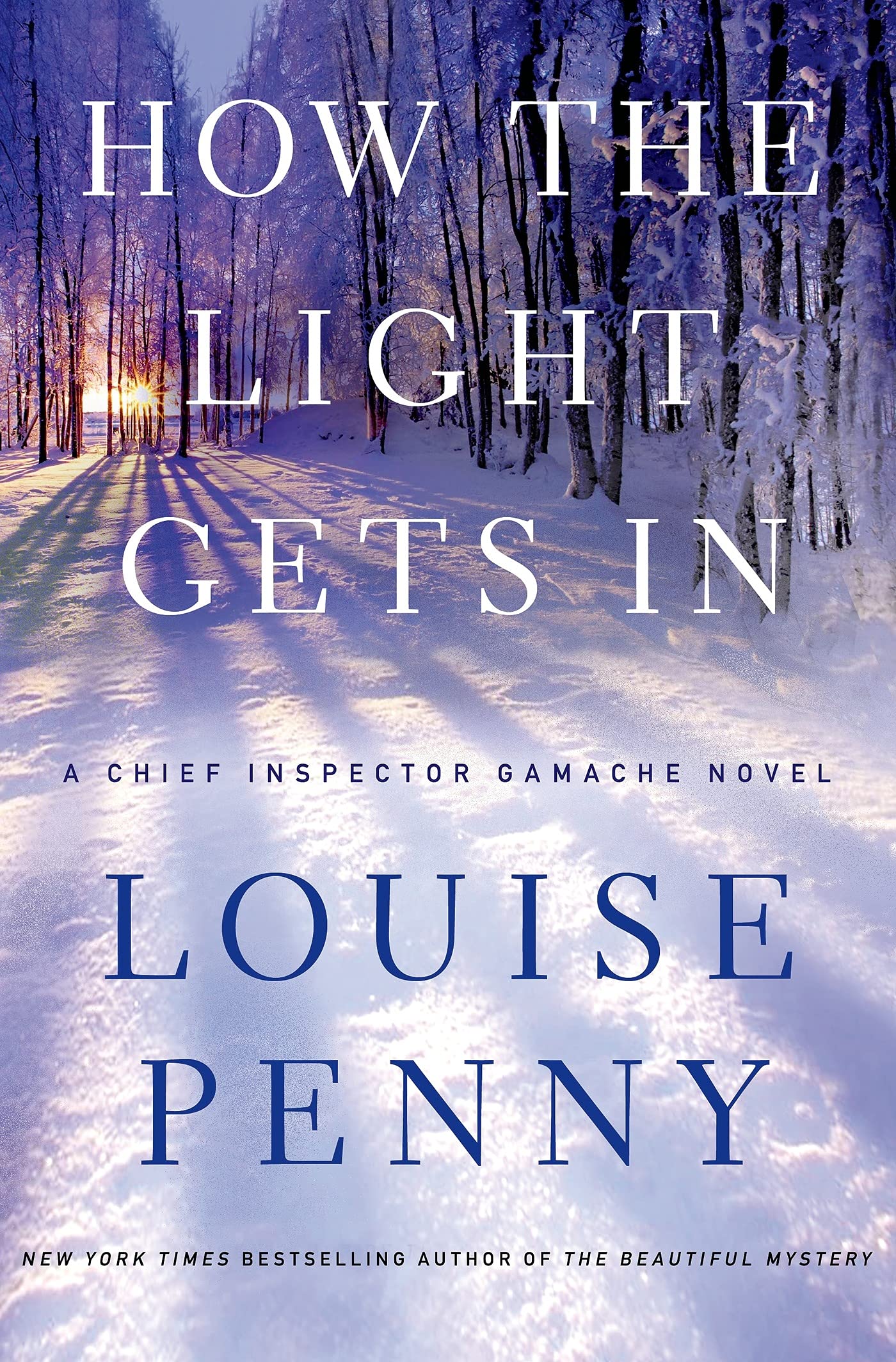 How the Light Gets In: A Chief Inspector Gamache Novel (Chief Inspector Gamache Novel, 9) used book depot