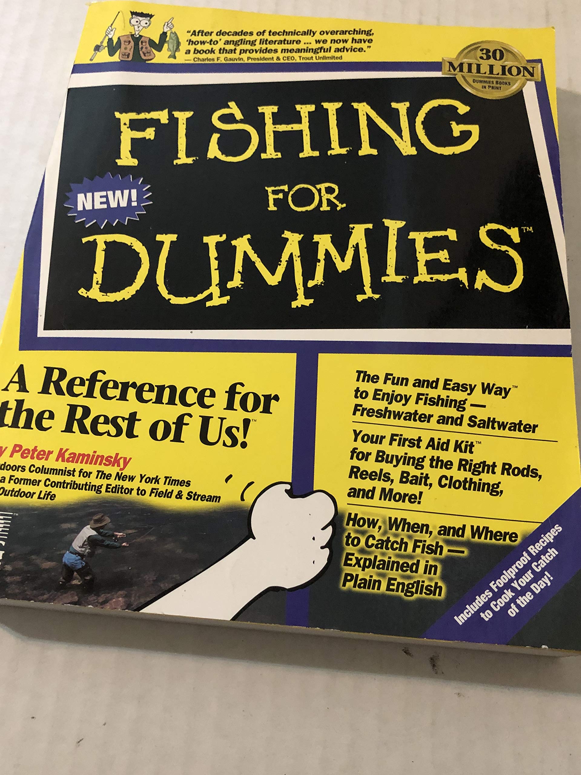 Fishing for Dummies used book depot