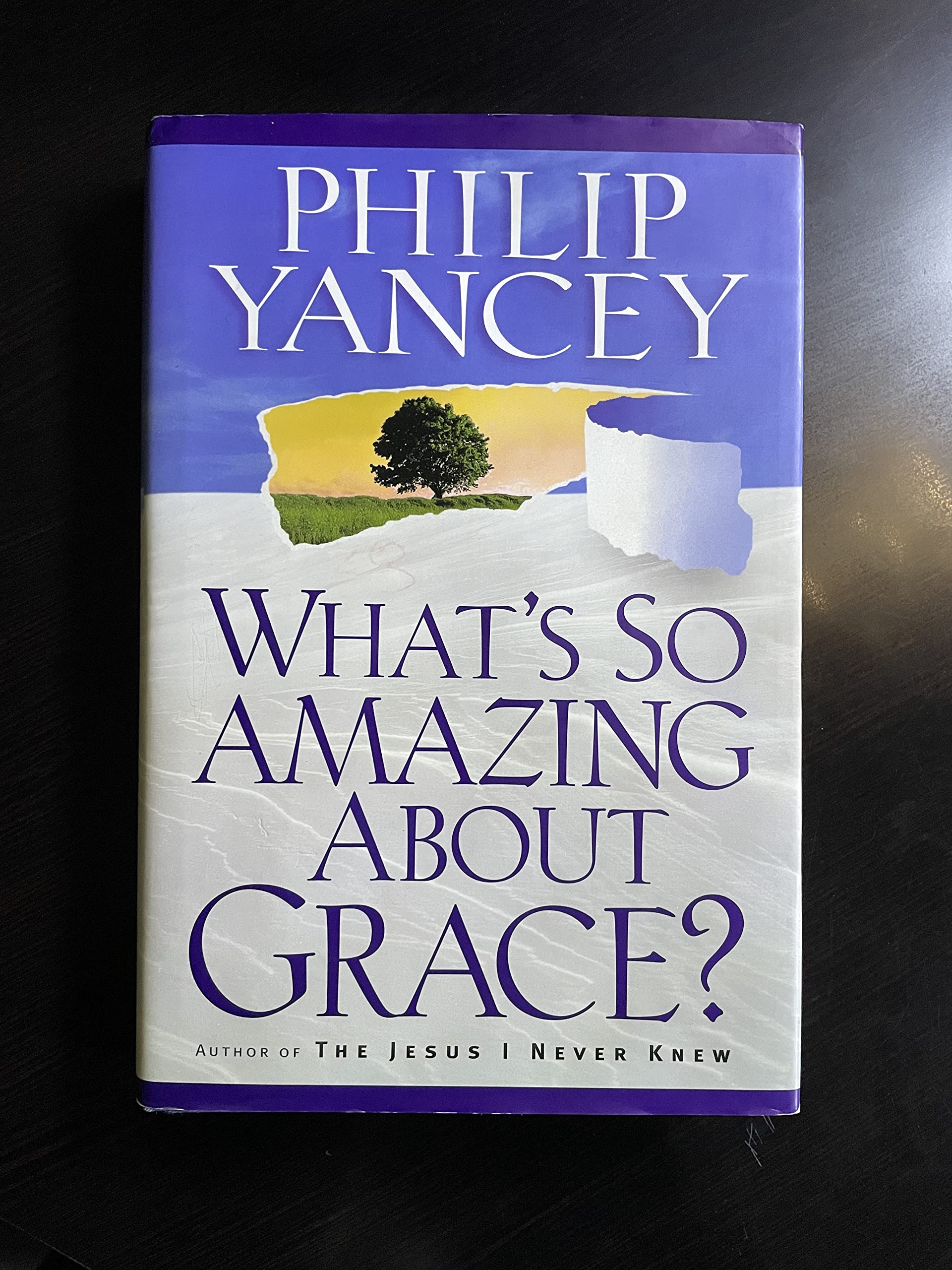 What's So Amazing About Grace? used book depot