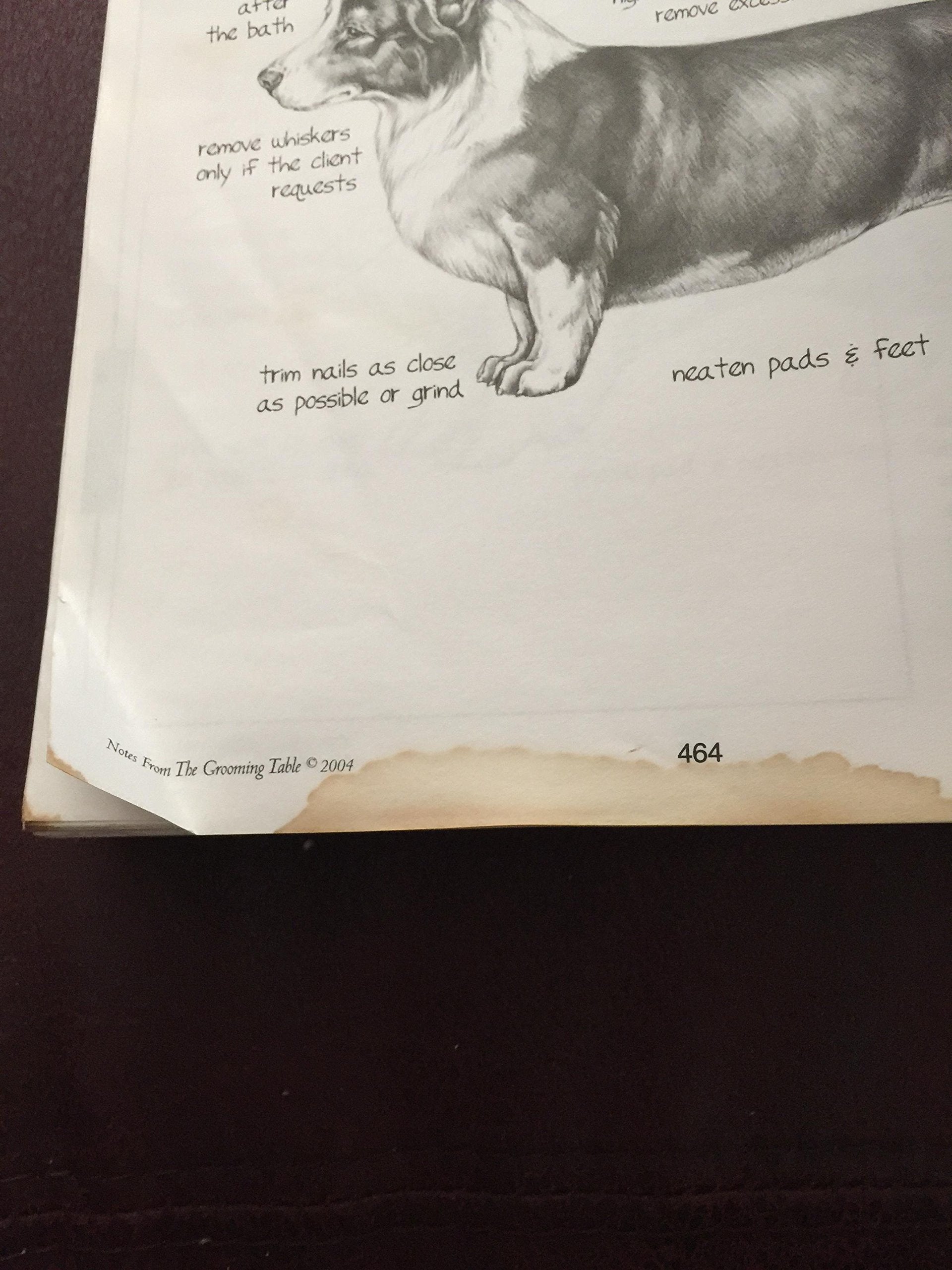 Notes From The Grooming Table by Melissa Verplank used book depot