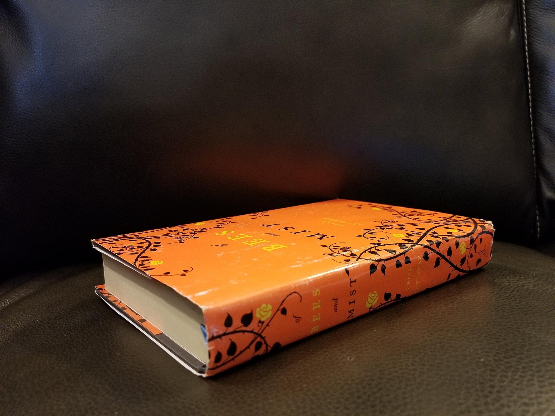 Of Bees and Mist: A Novel used book depot