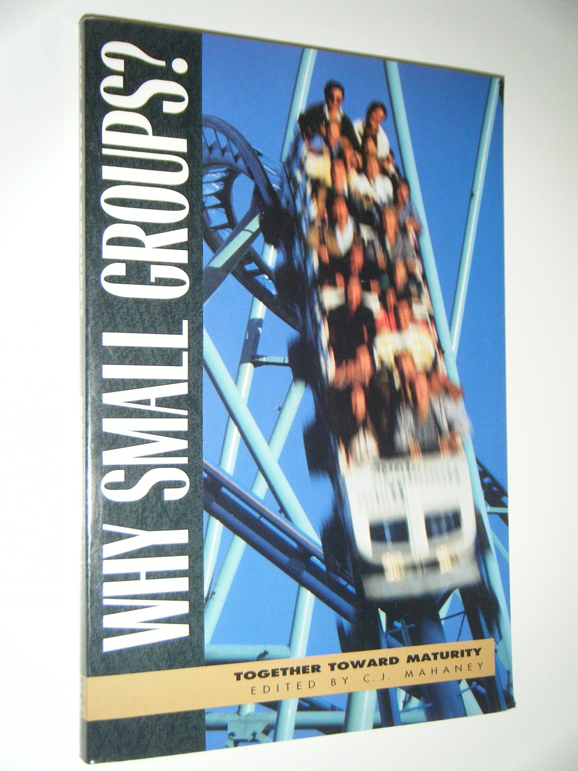 Why Small Groups? used book depot
