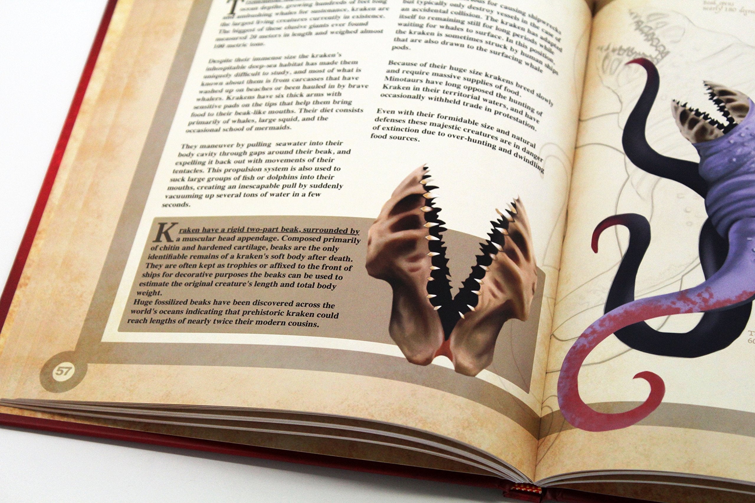 A Natural History of the Fantastic used book depot