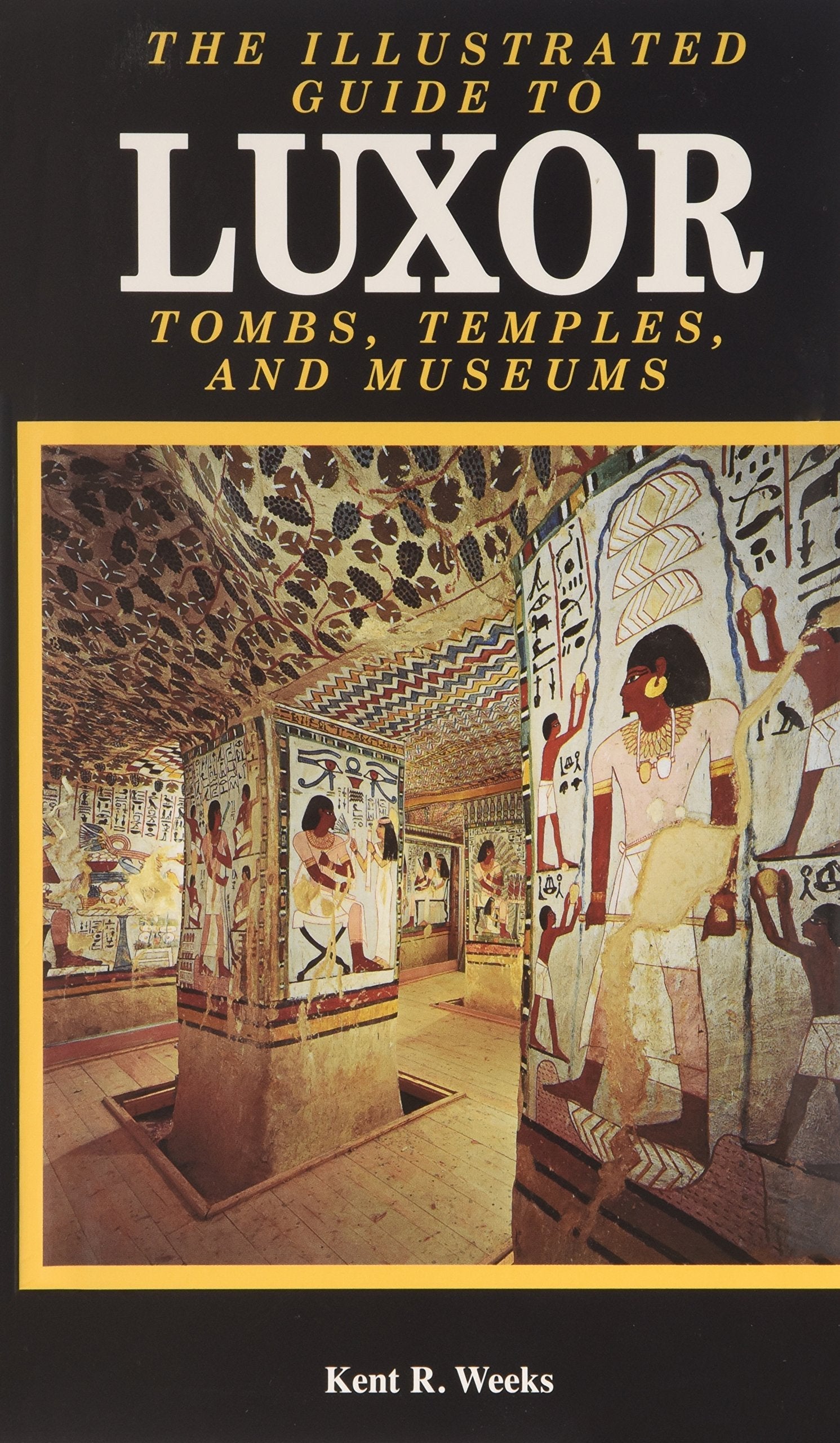 Illustrated Guide To Luxor And The Valley Of The Kings used book depot
